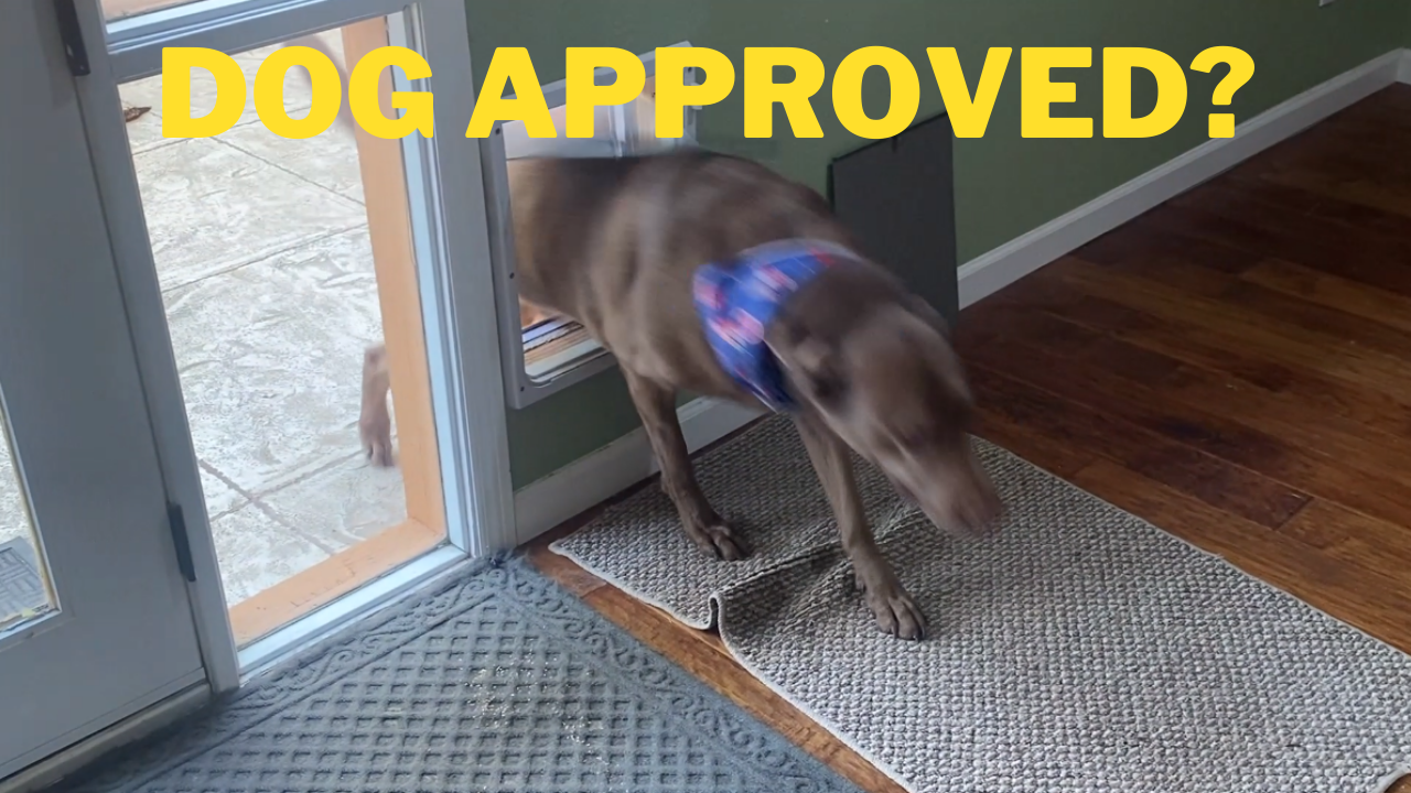 Watch Honest Review for the Trixie Locking Dog Med-Large Door on
