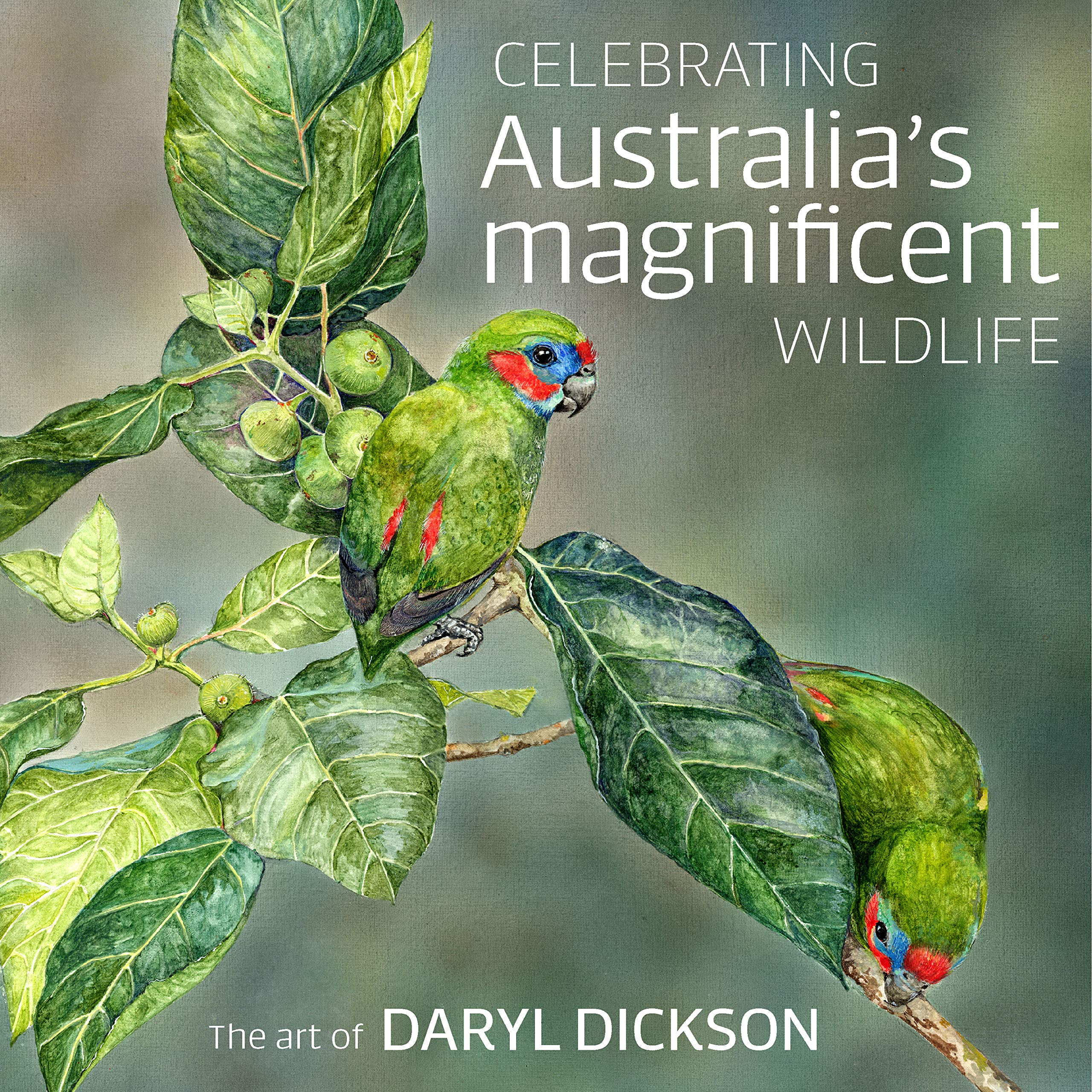 Faune australienne art Daryl Dickson grand format livre illustration