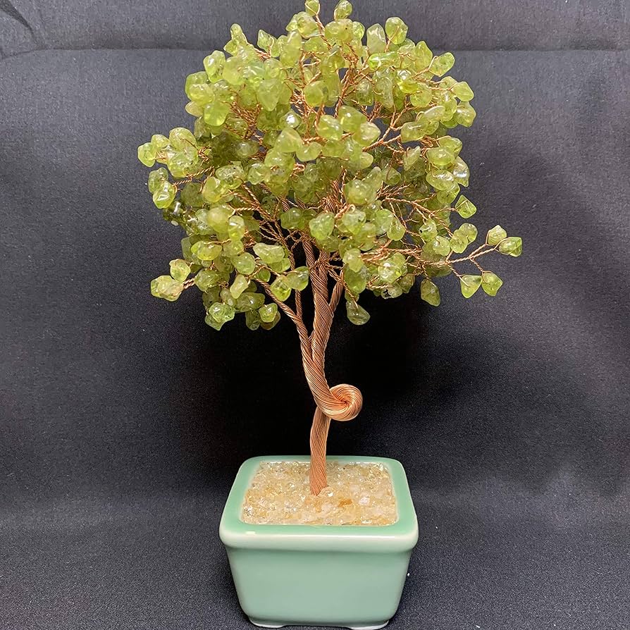 Amazon.co.jp: 招財樹 金のなる木 橄欖石 ペリドット 黄水晶
