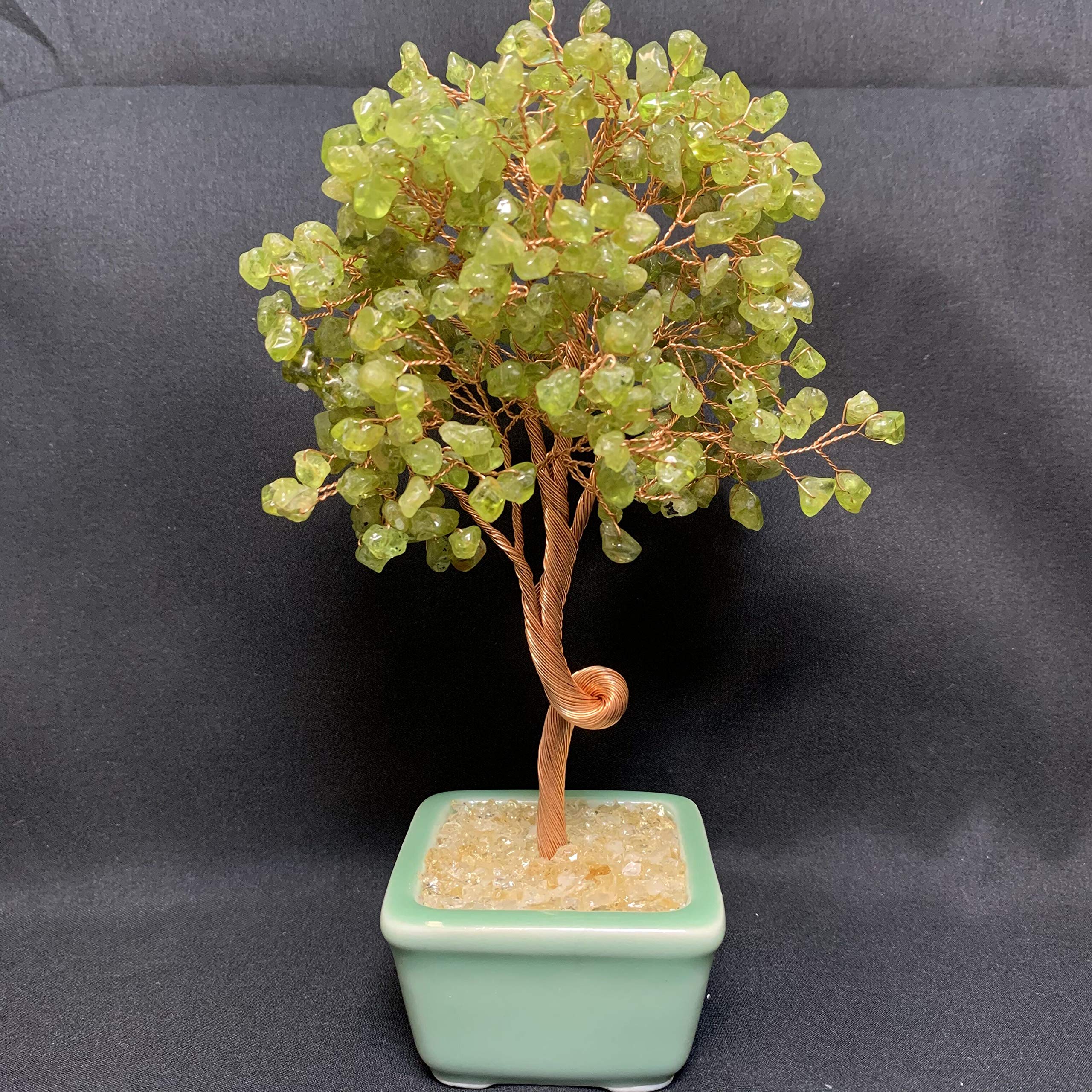 Amazon.co.jp: 招財樹 金のなる木 橄欖石 ペリドット 黄水晶 シトリン