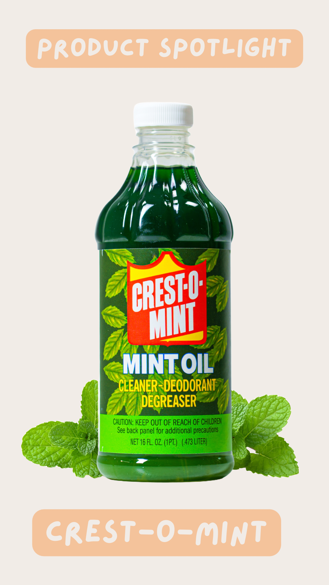 Amazon.com: Crest-O-Mint Oil Multipurpose Cleaner & Degreaser