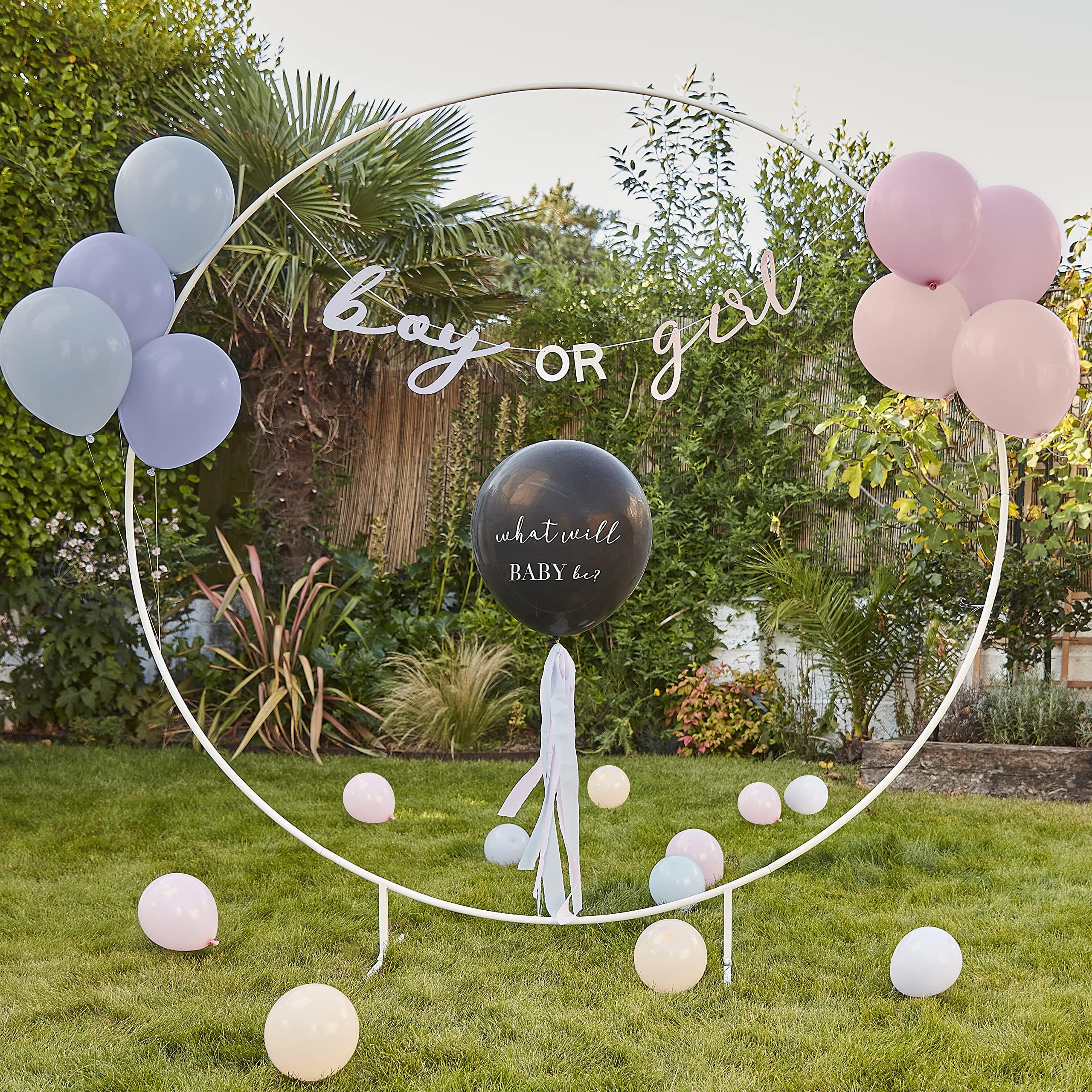 Ginger Ray What Will Baby Be Gender Reveal Balloon Kit, One Size