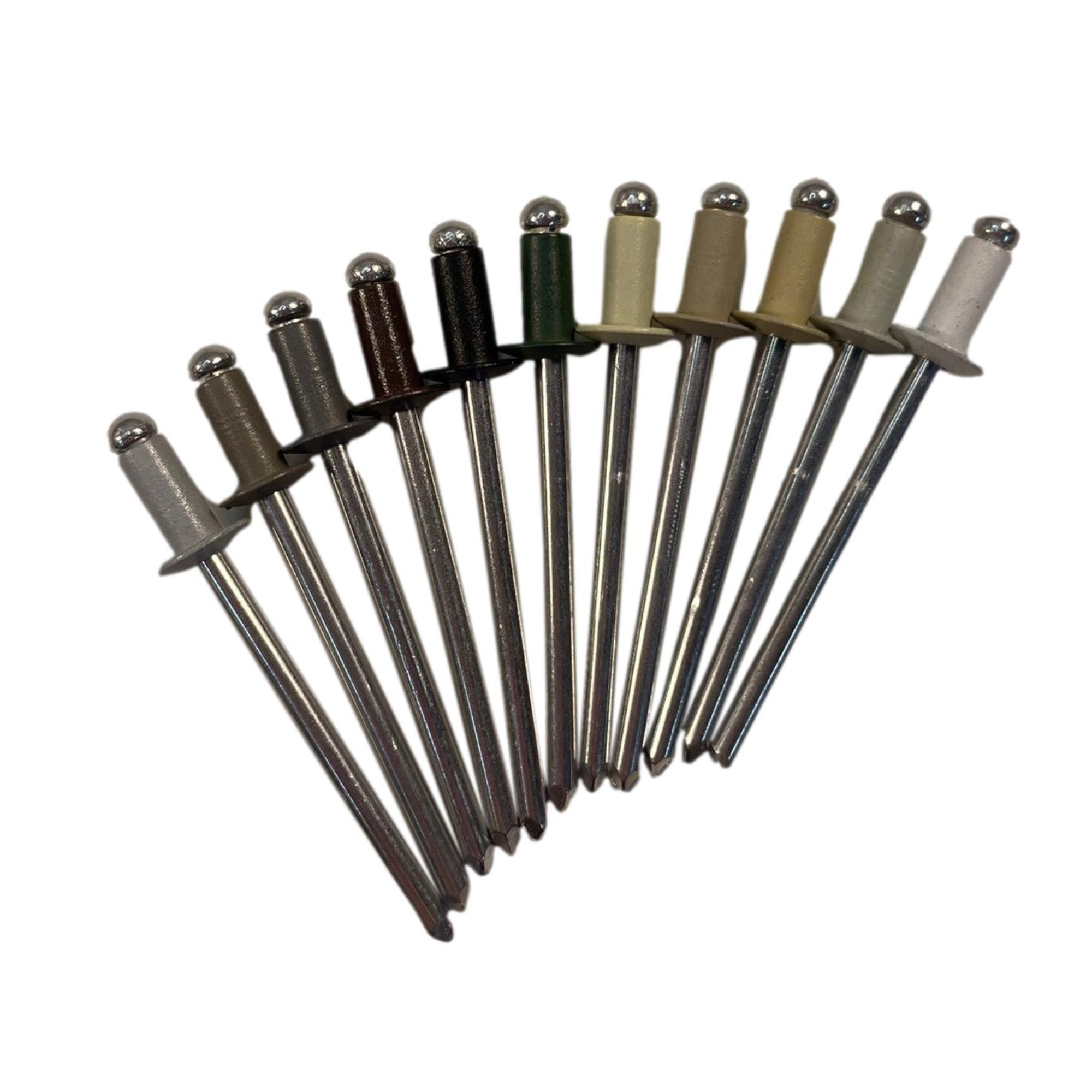 3点まとめ買い あやめ 新品 アマゾンブランド Rivet Classic Amazon.com: Eagle 1 Blind Aluminum Pop Rivets (1/8