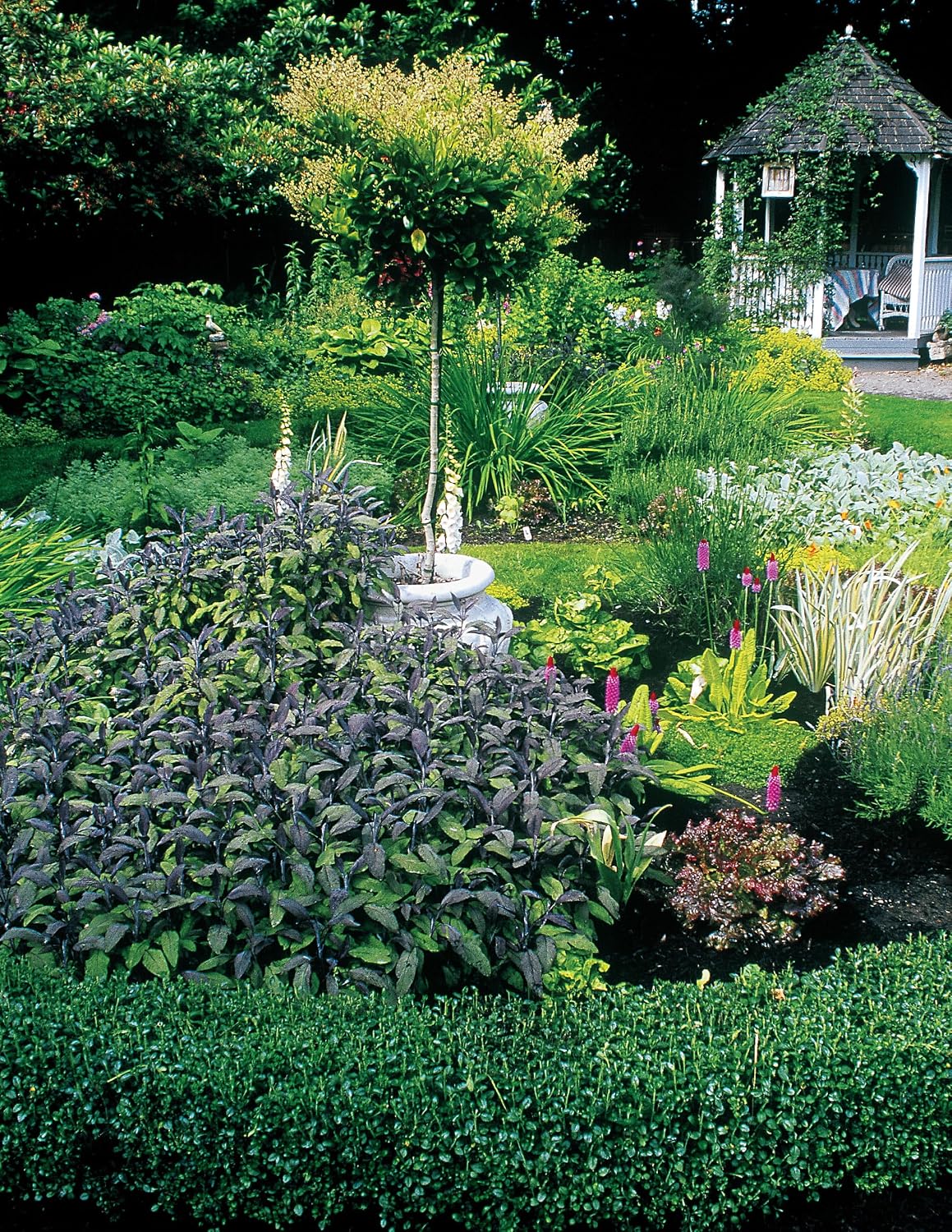 California Home Landscaping, Fourth Edition: 48 Landscape Designs 200+ Plants & Flowers Best Suited to the Region (Creative Homeowner) Over 400 Photos, Native Plant Profiles, and Outdoor DIY Projects