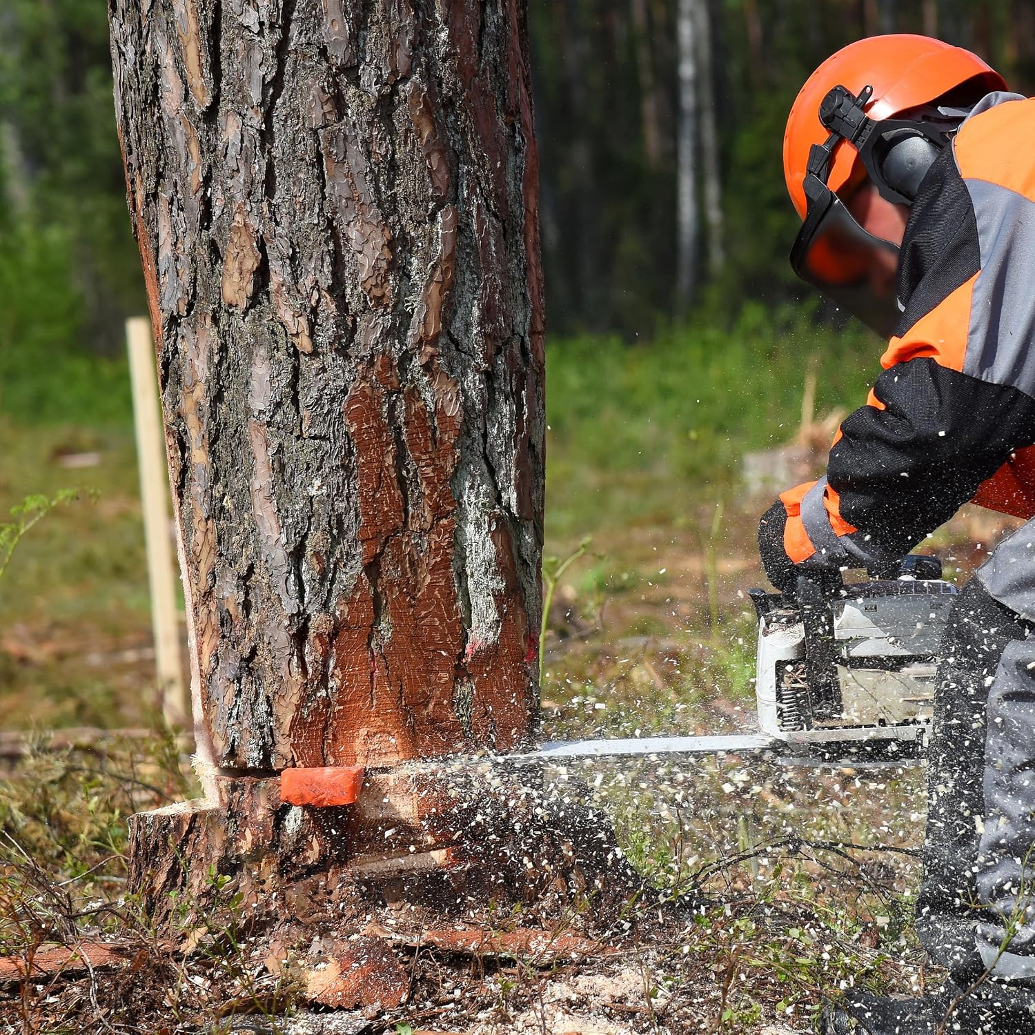UNCO- Tree Felling Wedges with Spikes, 4Pack, 5.5" & 8" Wedges with Storage Bag, Splitting Wedge, Plastic Wedges, Logging Tools and Equipment, Chainsaw Wedges for Trees