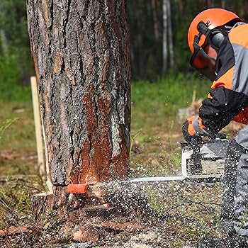 Soglom erkak qizni hushidan ketguncha sikadi.