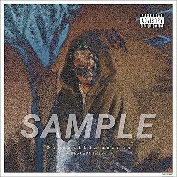 清水翔太/Pulsatilla cernua/【完全生産限定ファンクラブ限定盤】 Amazon.co.jp: 【Amazon.co.jp限定】Pulsatilla cernua (完全