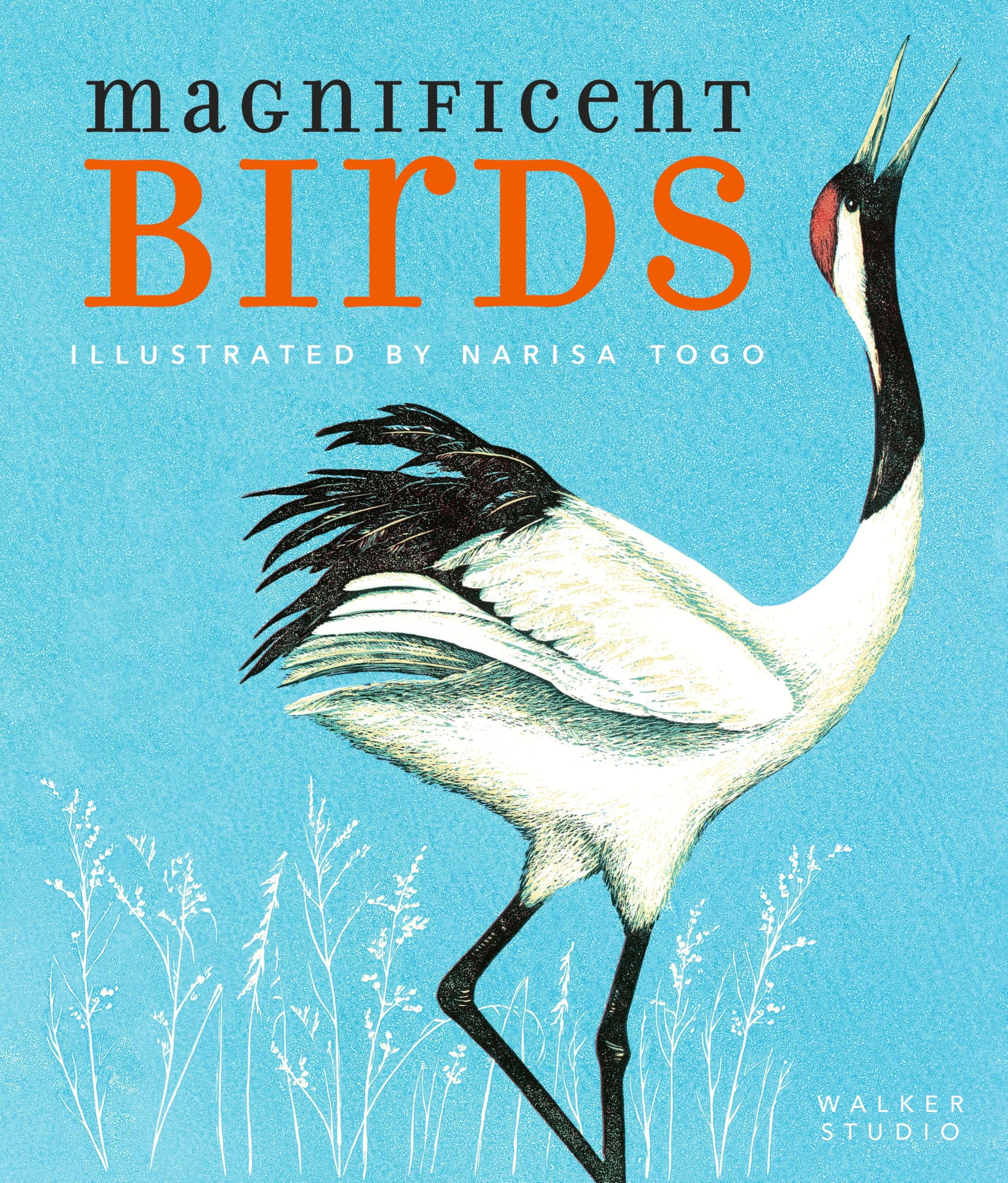 Magnificent Birds (Walker Studio)