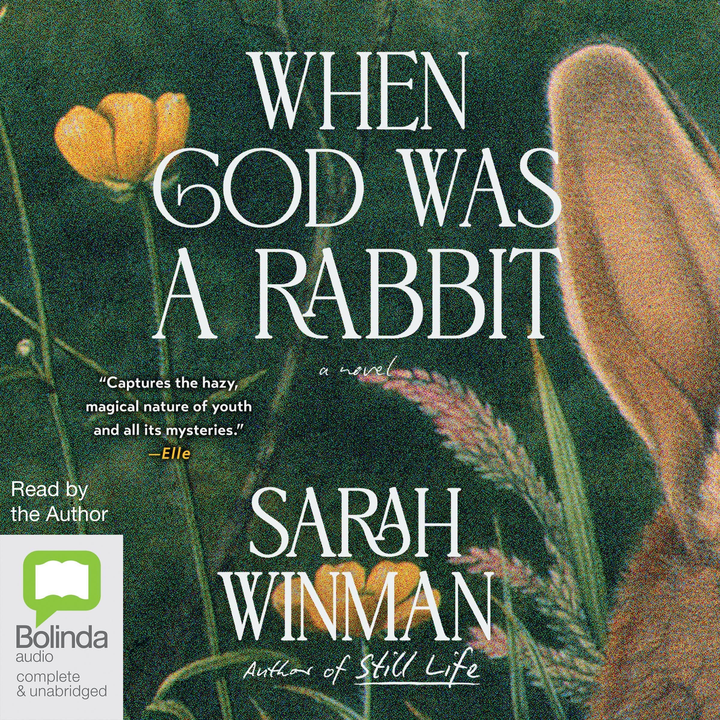 When God Was a Rabbit