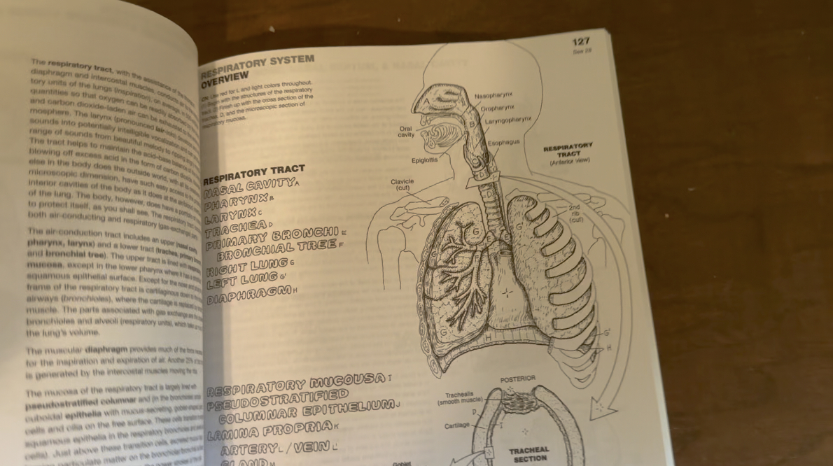 Watch Take a peek inside The Anatomy Coloring Book! Honest review