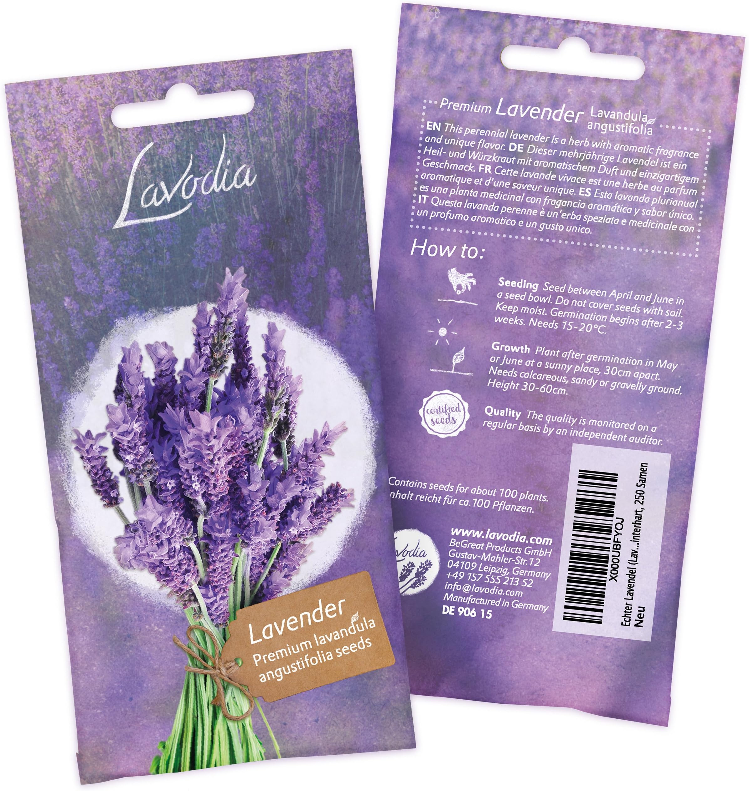 Lavender Plant Seeds Premium Perennial Lavender Seeds for ca 50