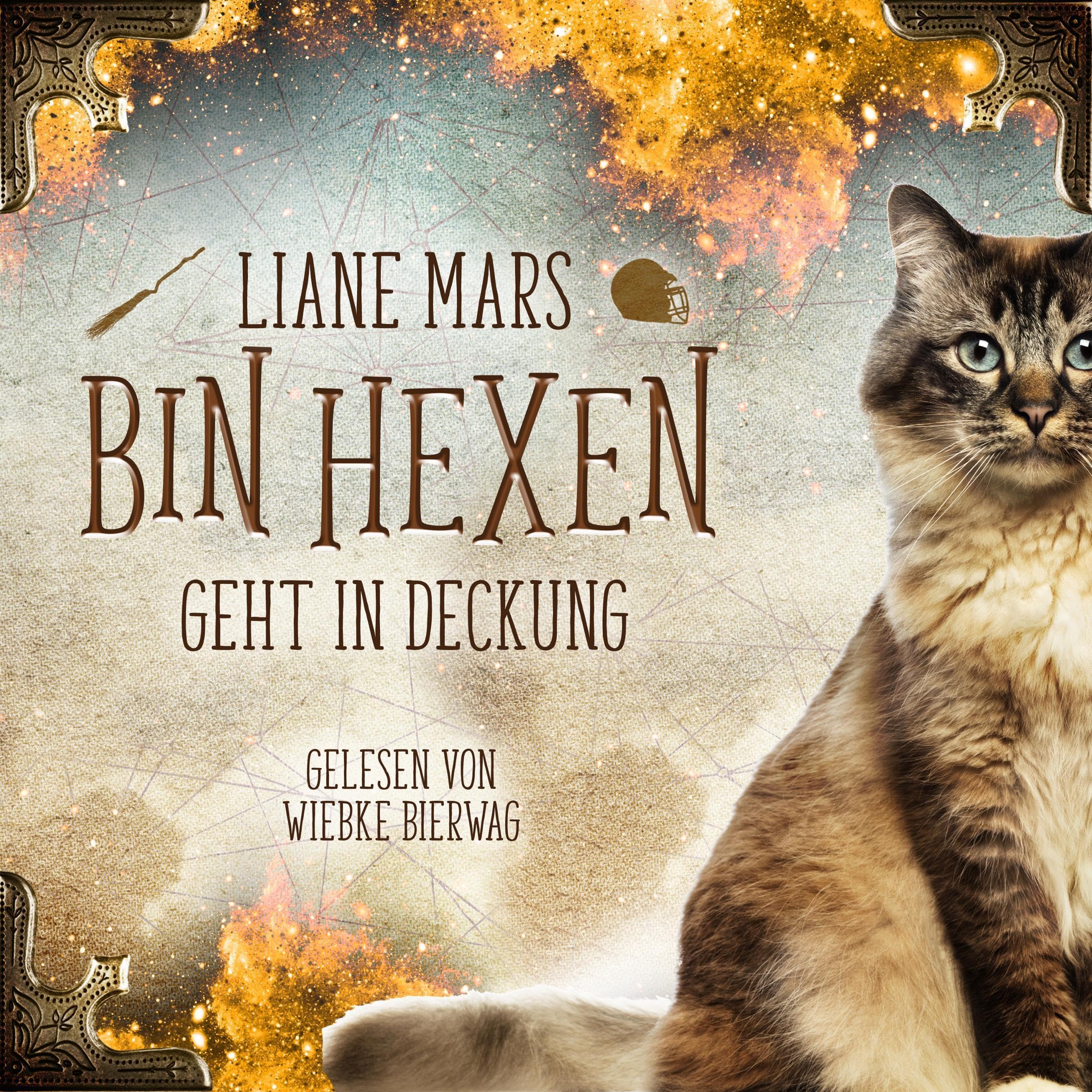 Cover art for Geht in Deckung
