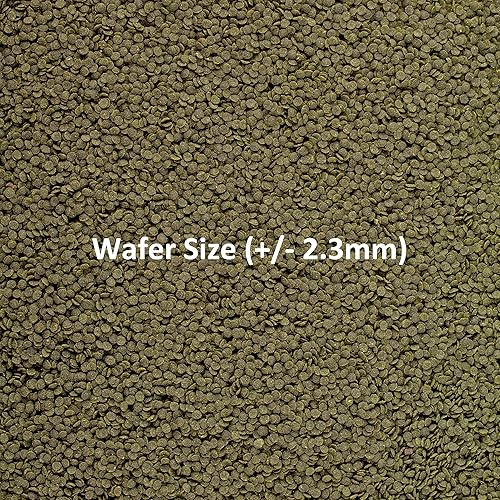 Miniatura 5 de Ocean Nutrition Shrimp Wafers - Alimento de camarones hundido para tanque de camarones de agua dulce (Neocaridina, Caridina, Ghost Shrimp Live,