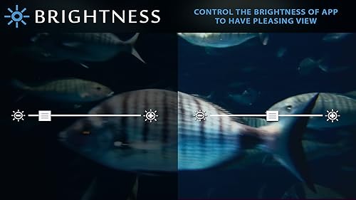 free rush aquarium HD - multidão de peixes grandes no aquário em sua TV HDR 4K, TV 8K e dispositivos