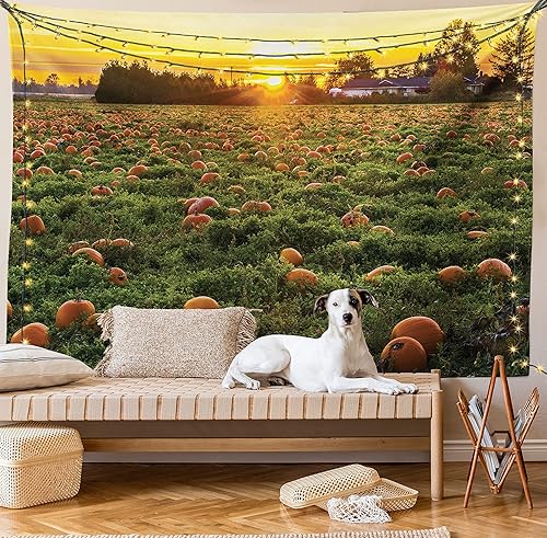 Miniatura 9 de Ambesonne Tapiz de calabaza de otoño, tamaño Queen, foto temática de agricultura de otoño, parche de frutas de temporada al atardecer, colcha