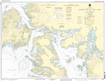 17407--Northern part of Tlevak Strait and Ulloa Channel
