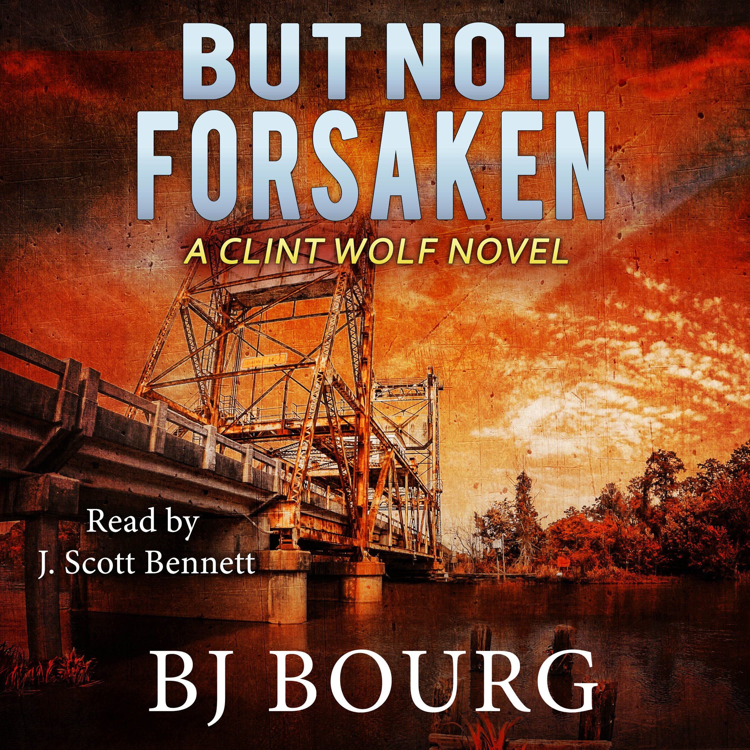 Cover art for But Not Forsaken