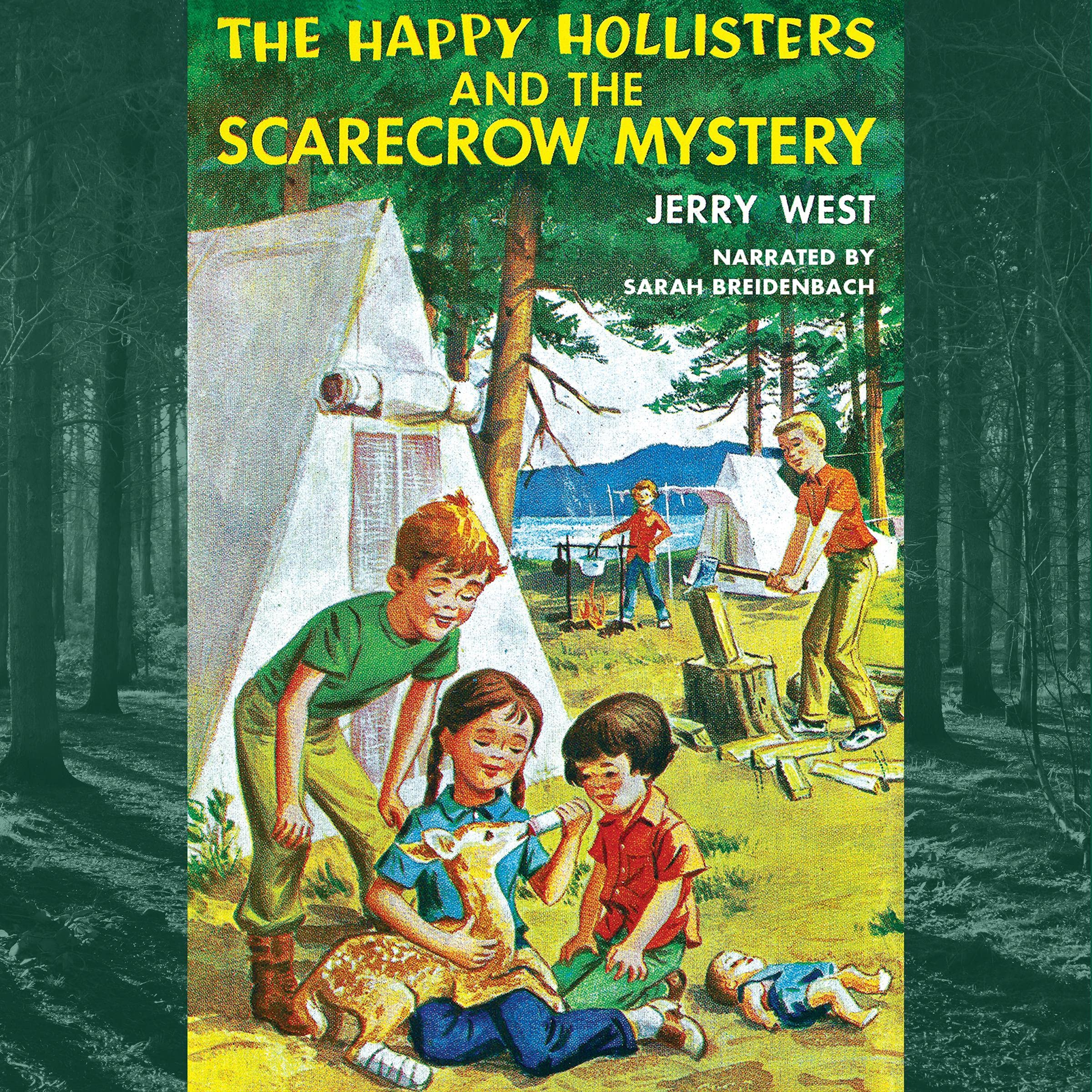 The Happy Hollisters and the Scarecrow Mystery