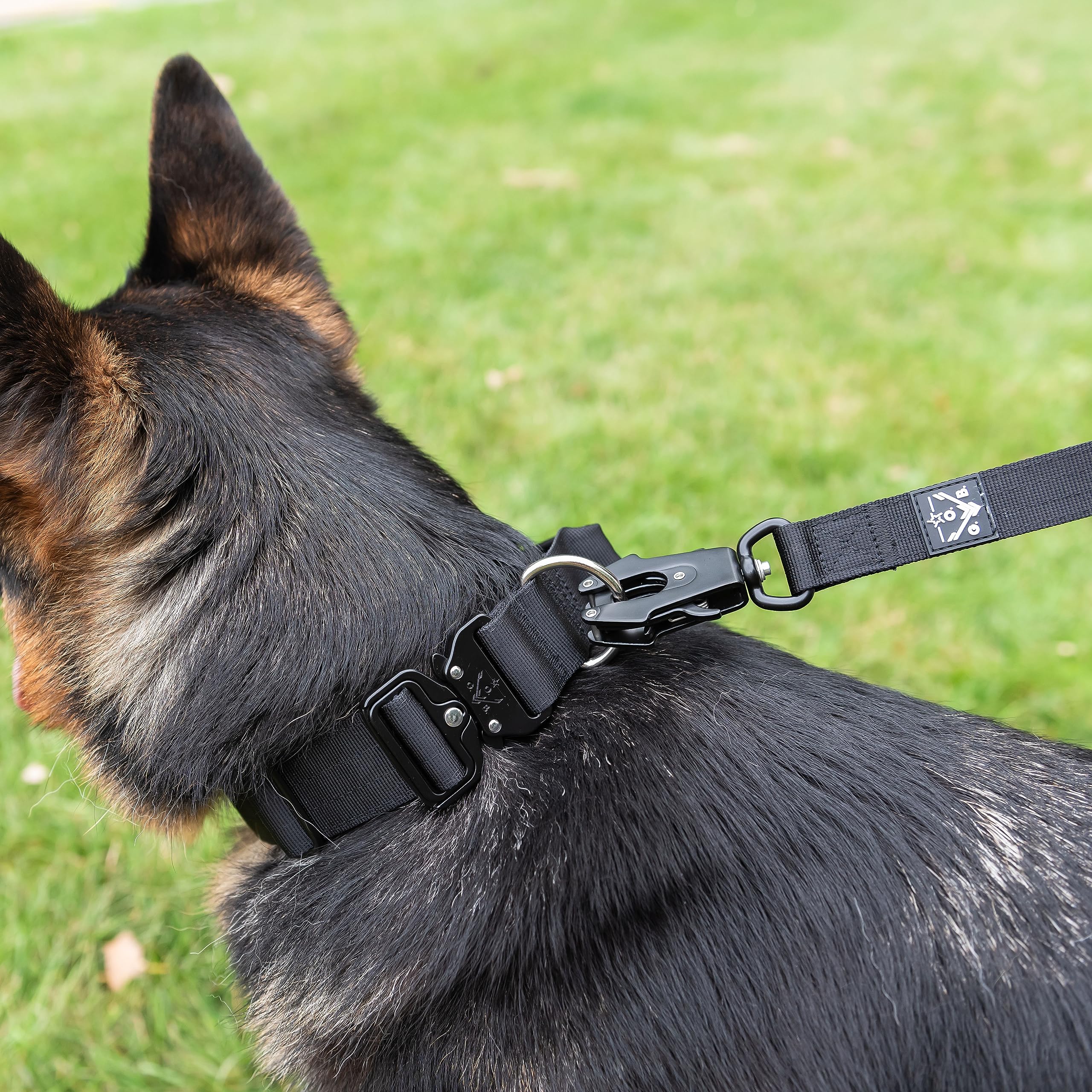 Operation Good Boy Collar táctico (negro) – Duradero y fuerte – Incluye hebilla de liberación rápida y mango de grado militar