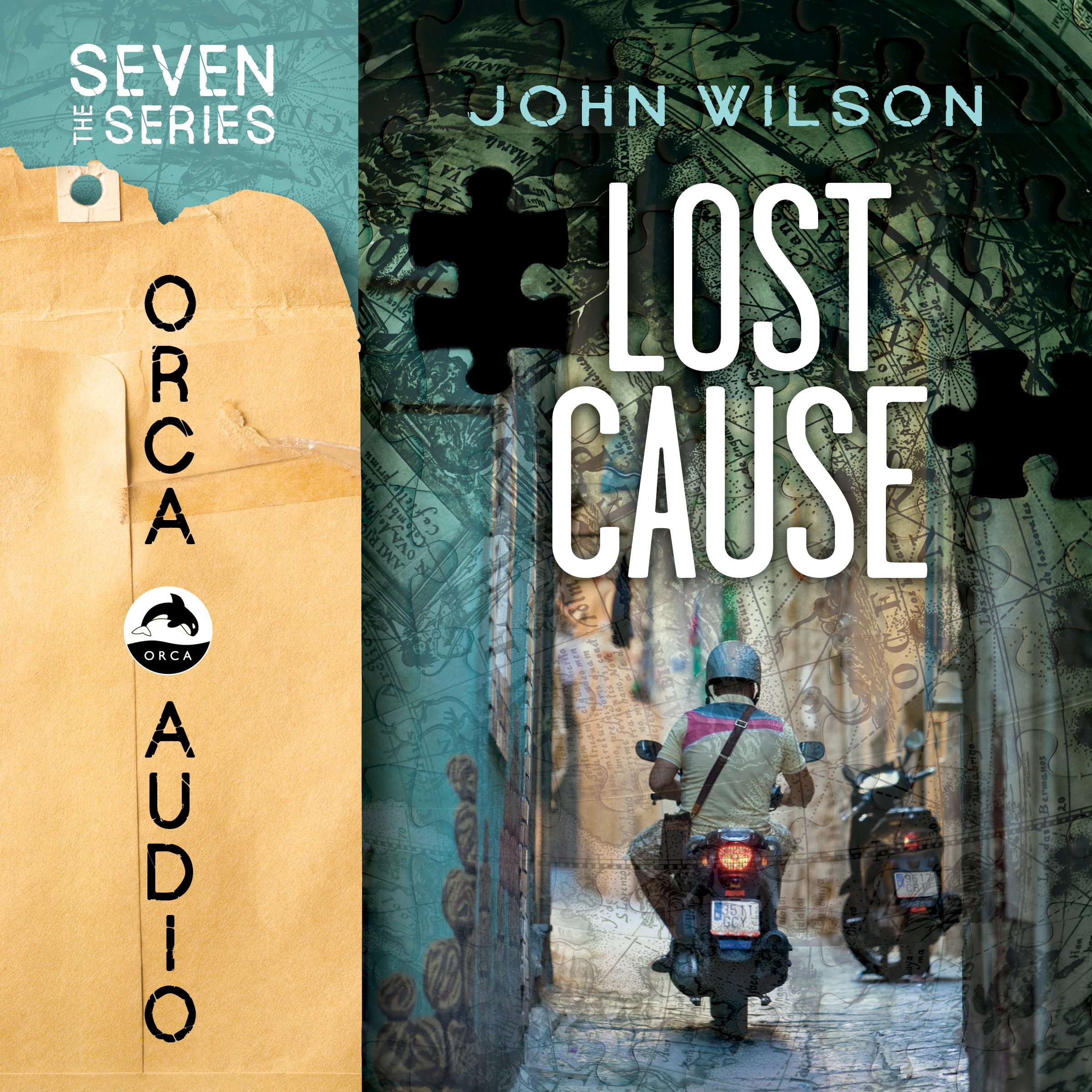 Cover art for Lost Cause