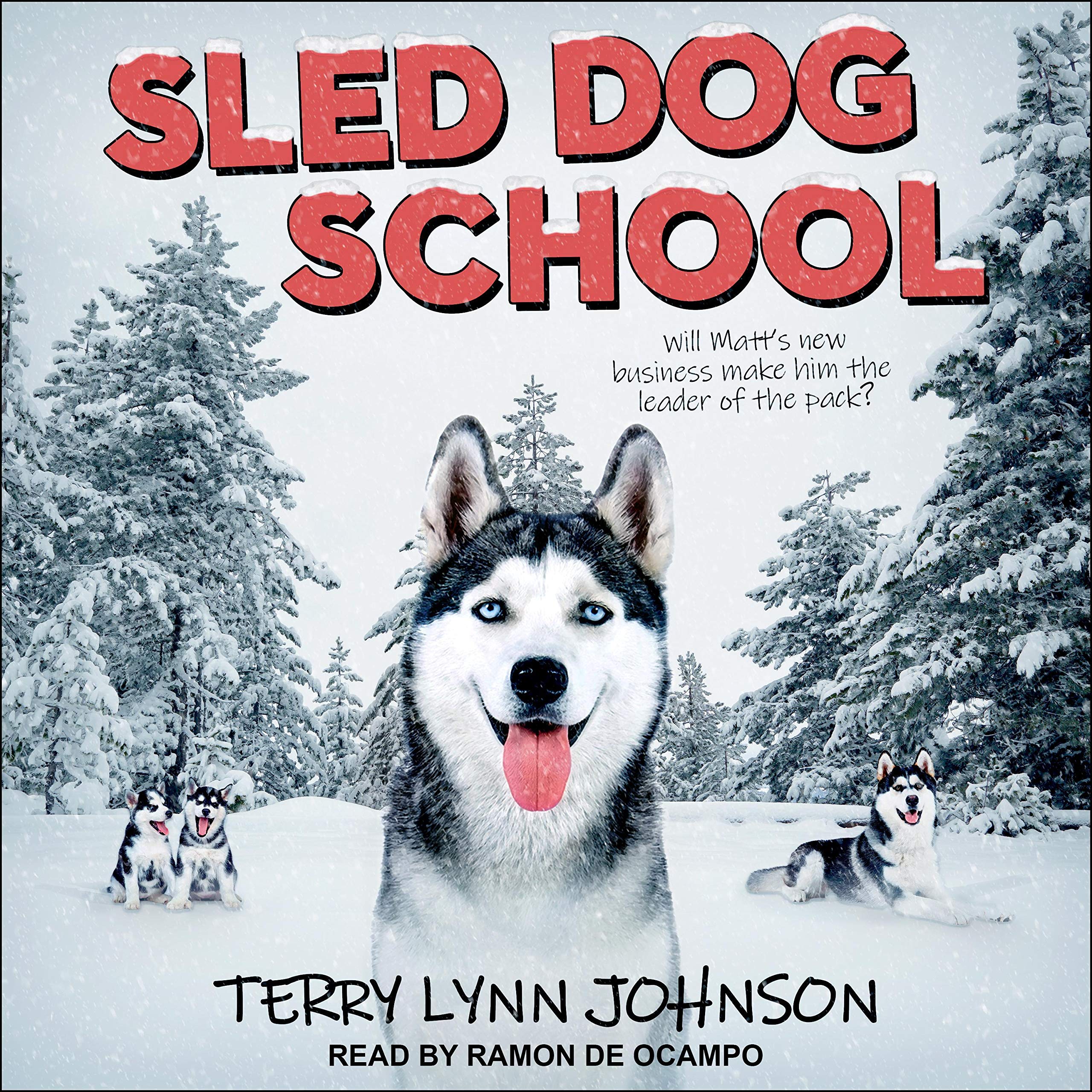 Cover art for Sled Dog School