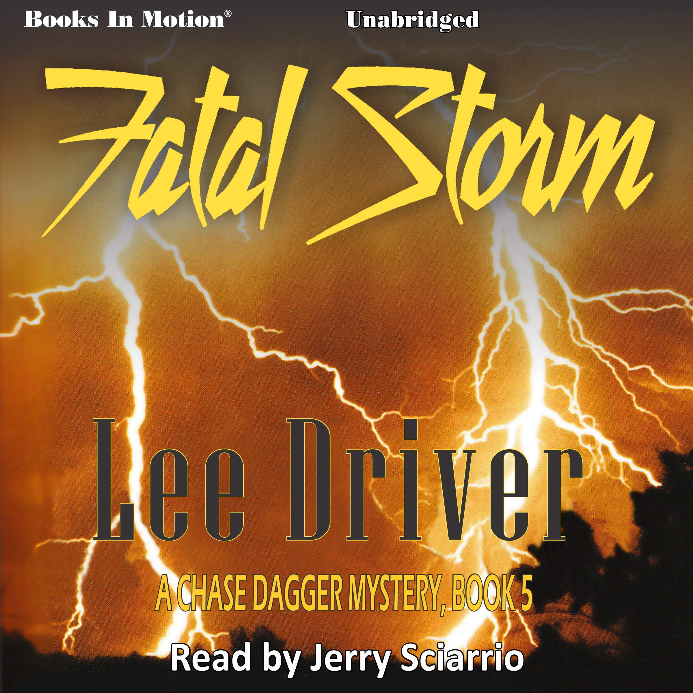 Cover art for Fatal Storm