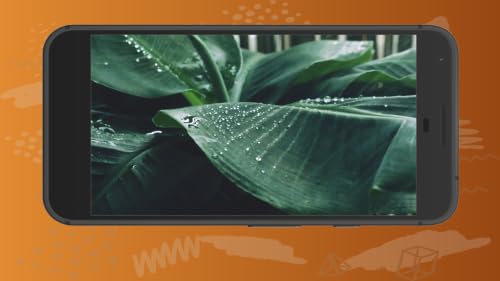 Quiet Nature Rainforest Sleep Music Harmony for Fire TV – vue 3