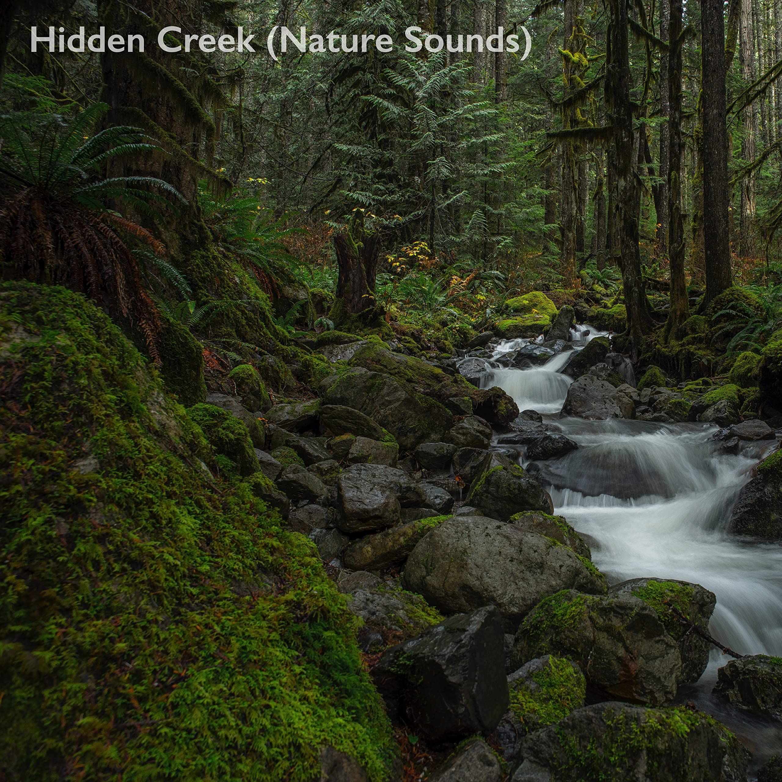 Hidden Creek (Nature Sounds)