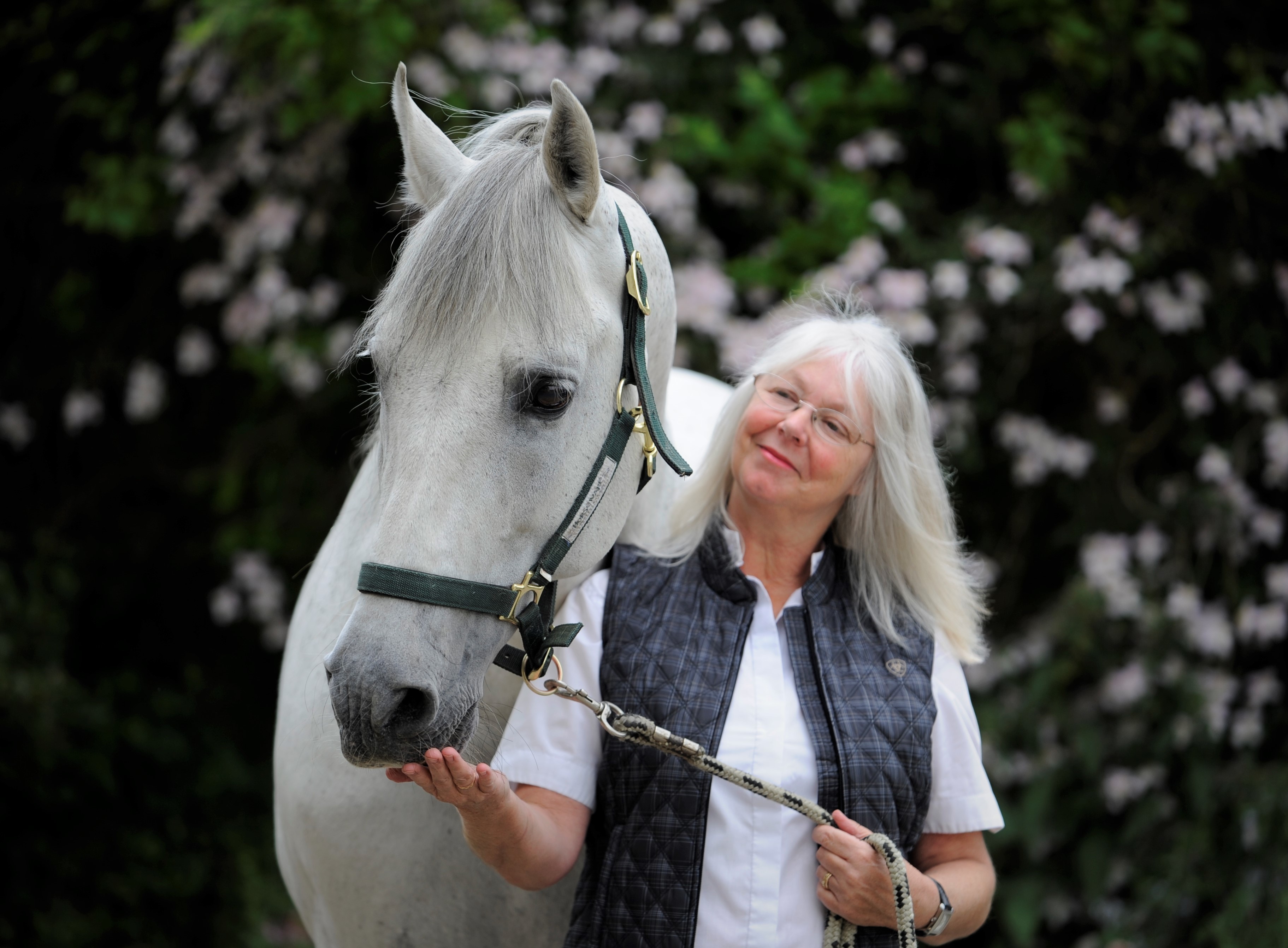 Amazon.co.uk Jenny Rolfe books, biography, latest update