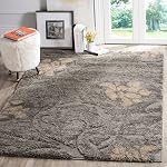 SAFAVIEH Florida Shag Recouvrement SG464 Roue à accents épais de 1,2 po, 2'3" x 4', Fumée/Béige