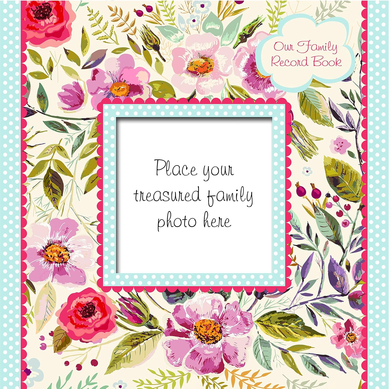 Our Family Record Book 9781787186897 Books Amazon.ca