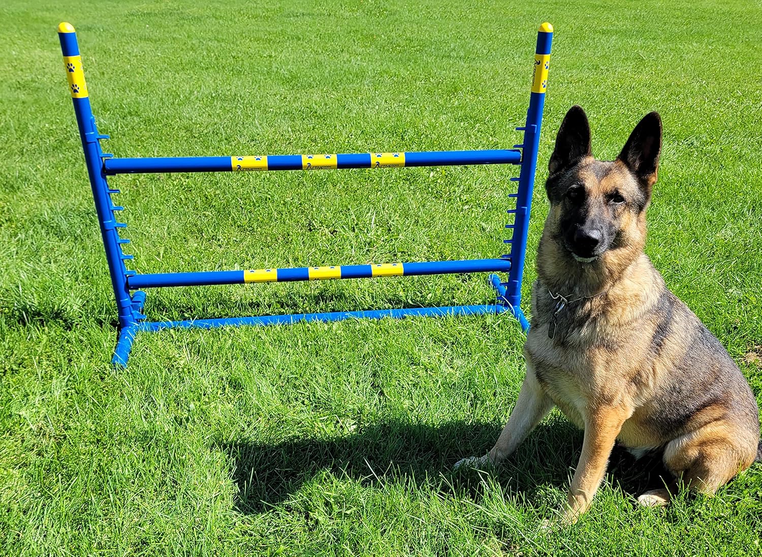 ActiveDogs Agility Fixed Base Jump - High Grade PVC Indoor or Outdoor Dog Obstacle Agility Training Exercise Equipment