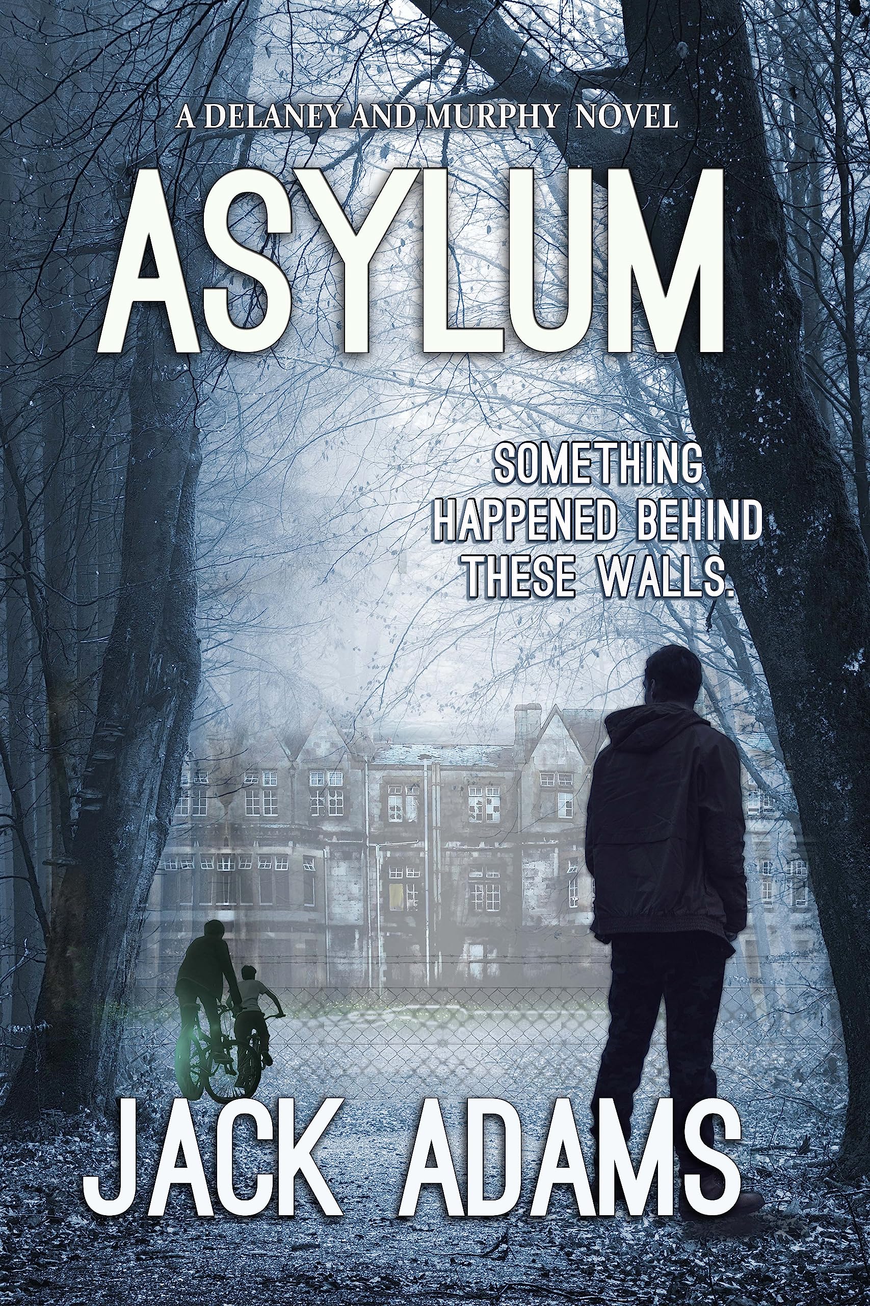 Asylum (Delaney and Murphy Book 1)