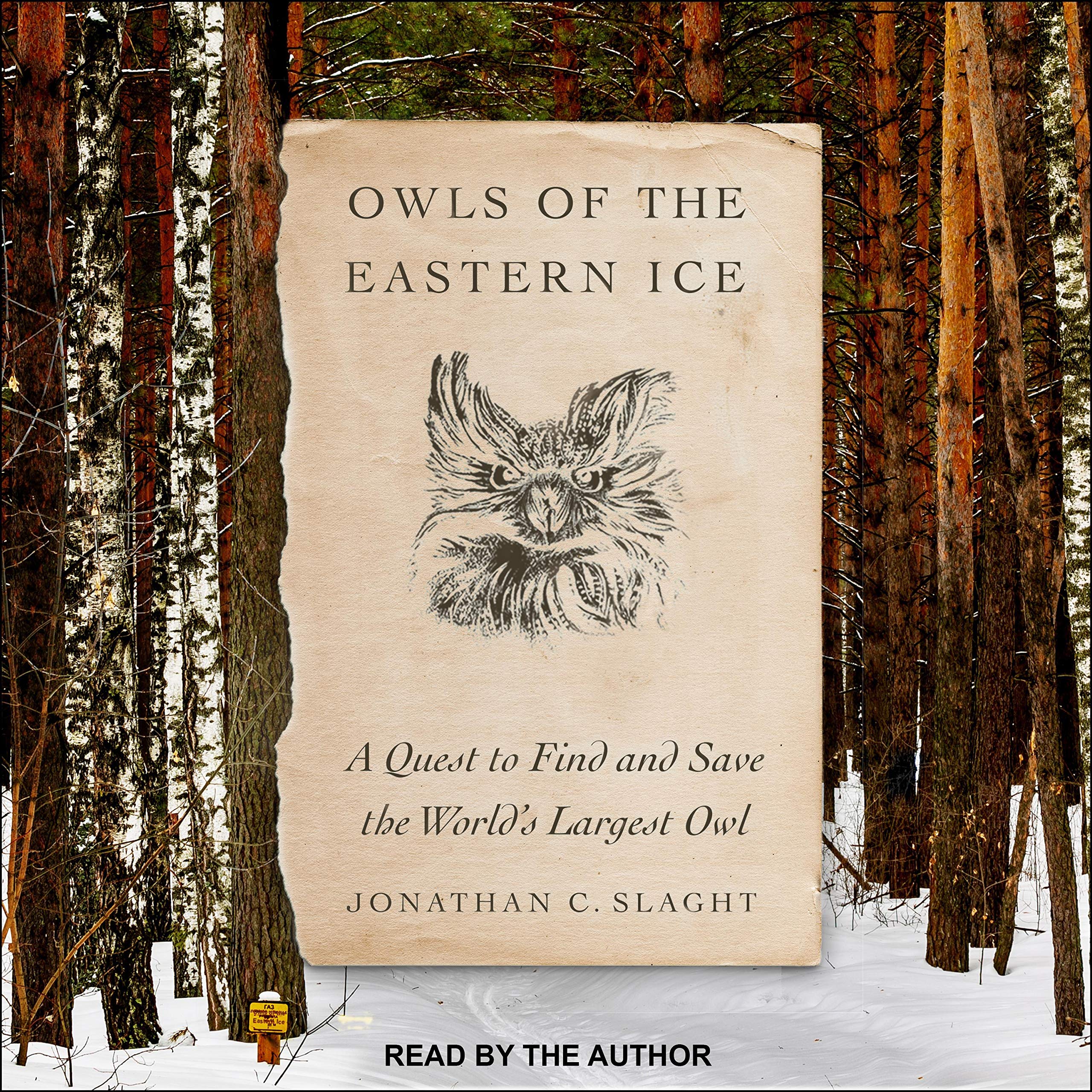 Cover art for Owls of the Eastern Ice