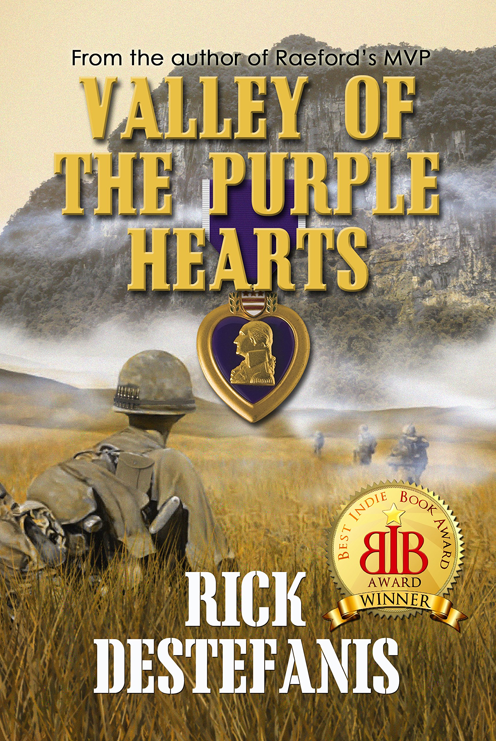 Valley of the Purple Hearts: A Young Paratrooper's Vietnam War Story (The Vietnam War Series)