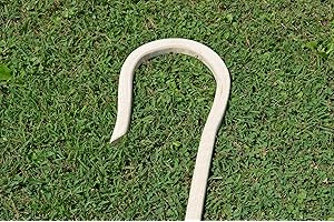 Amish Handmade Shepherds Crook with Oak Wood Base Walking Cane