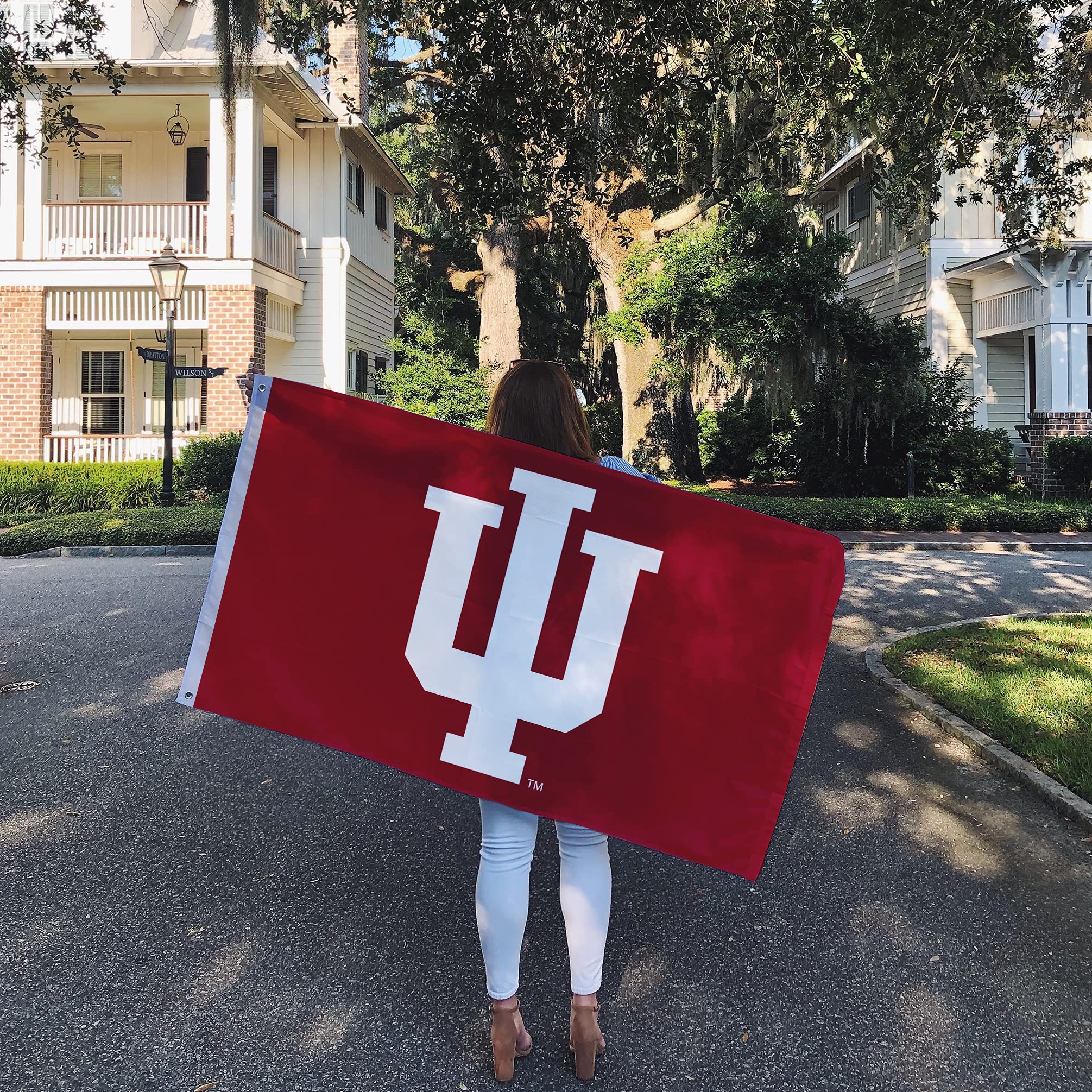 Desert Cactus Indiana University Hoosiers Flag - 3x5 Feet, 100% Polyester, Single-Sided Banner