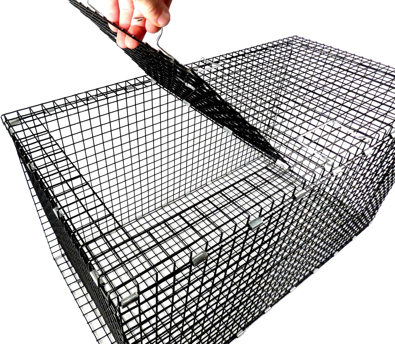 Model 402.5 - Tomahawk Coated Live Fish Box