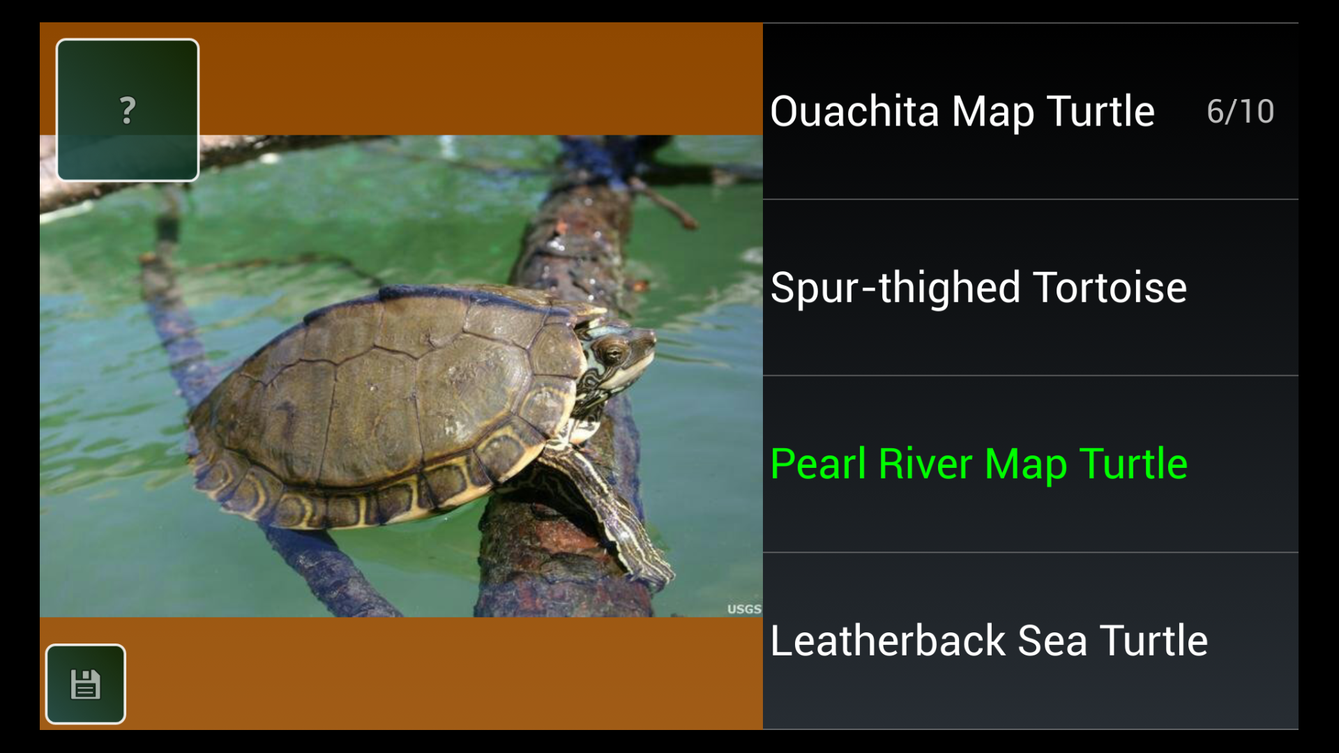 Reptile Species Trivia QuizAmazon.inAppstore for Android