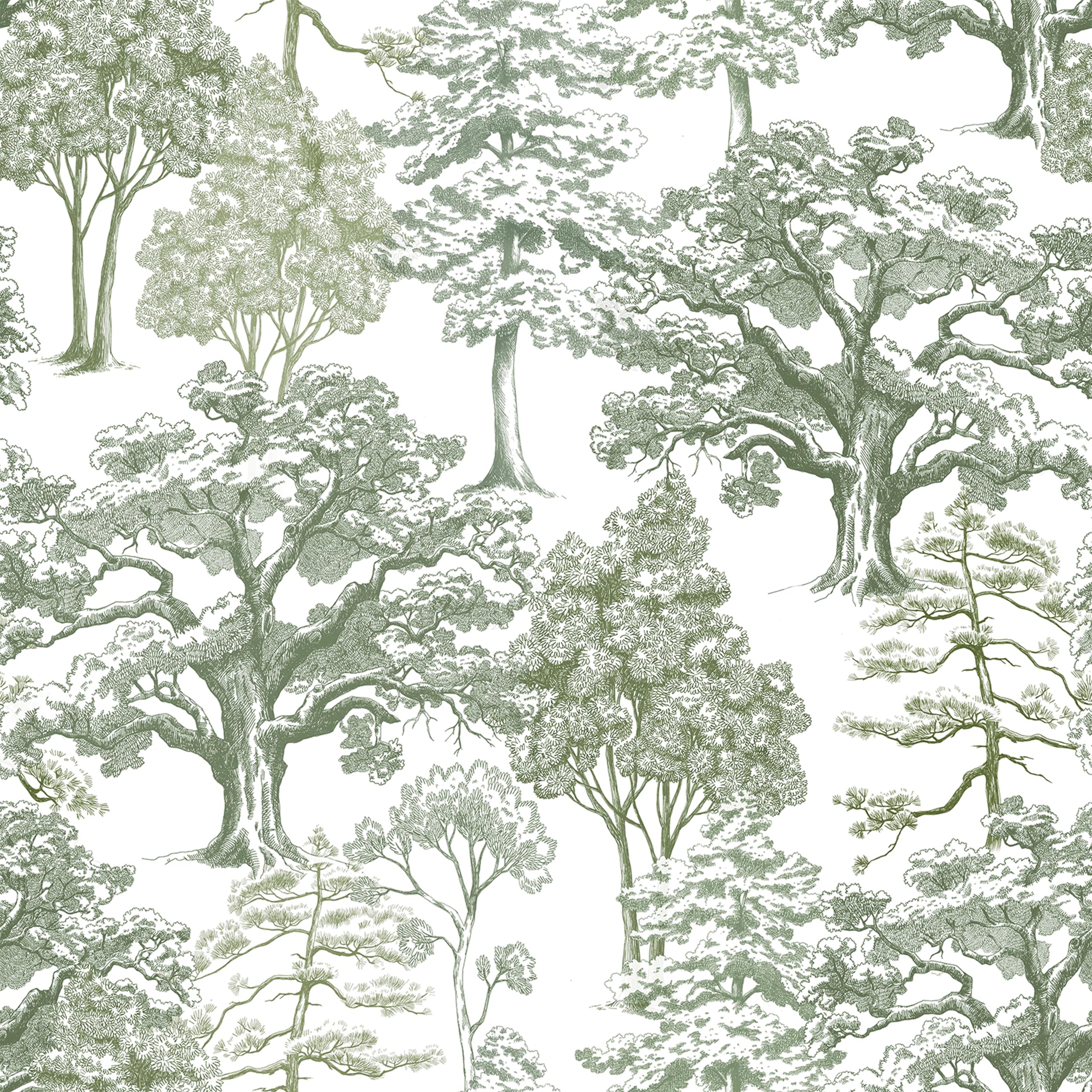 Papier peint étanche pour salle de bain et cuisine ReWallpaper motif forêt vert sauge adhésif