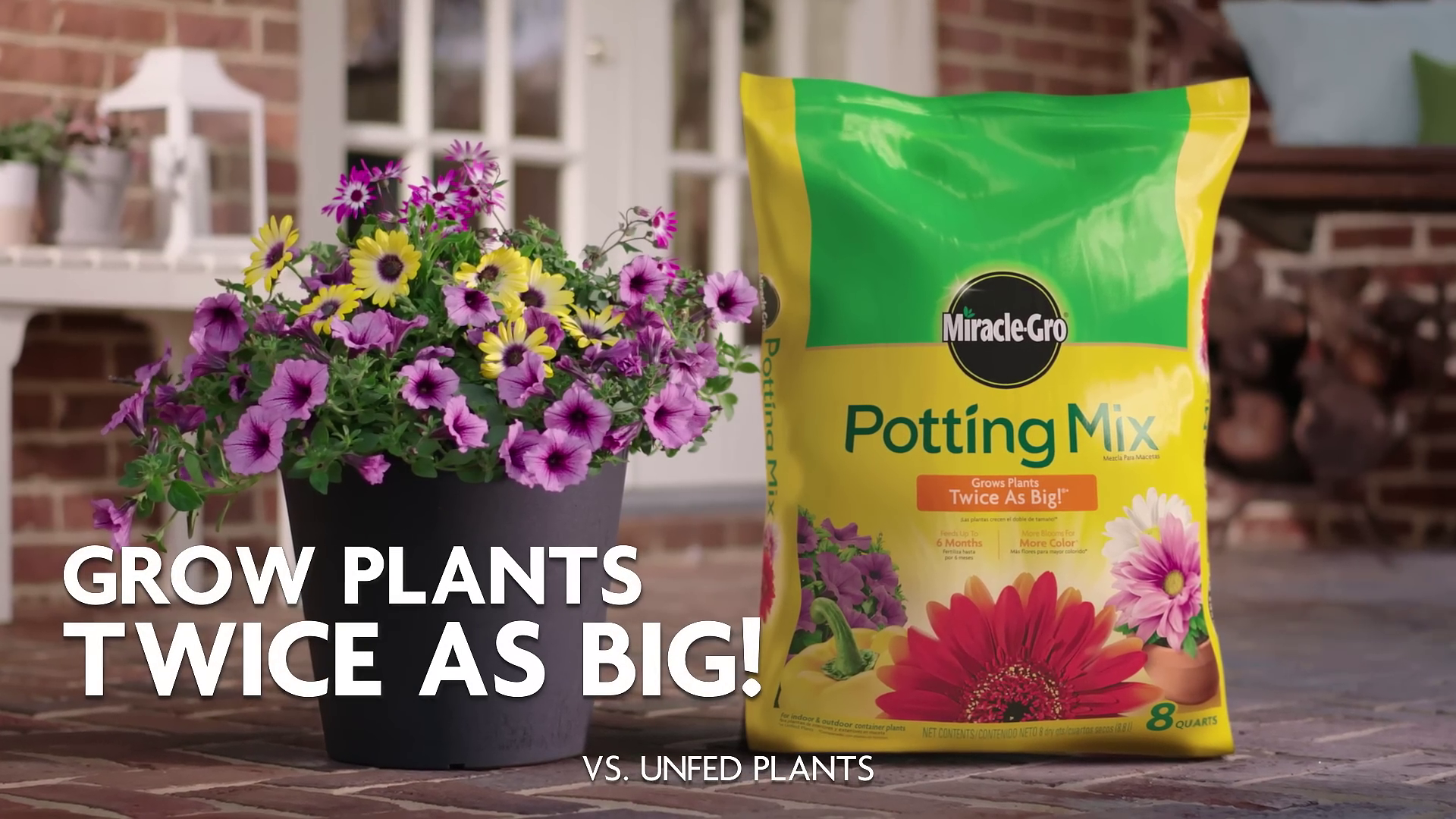 Amazon.com : Miracle-Gro 2 Pack Potting Soil Mix for Container Plants,  Flowers, Vegetables, Shrubs, Annuals, and Perennials, Feeds for Up to 6  Months, 2 Cu Ft : Patio, Lawn & Garden