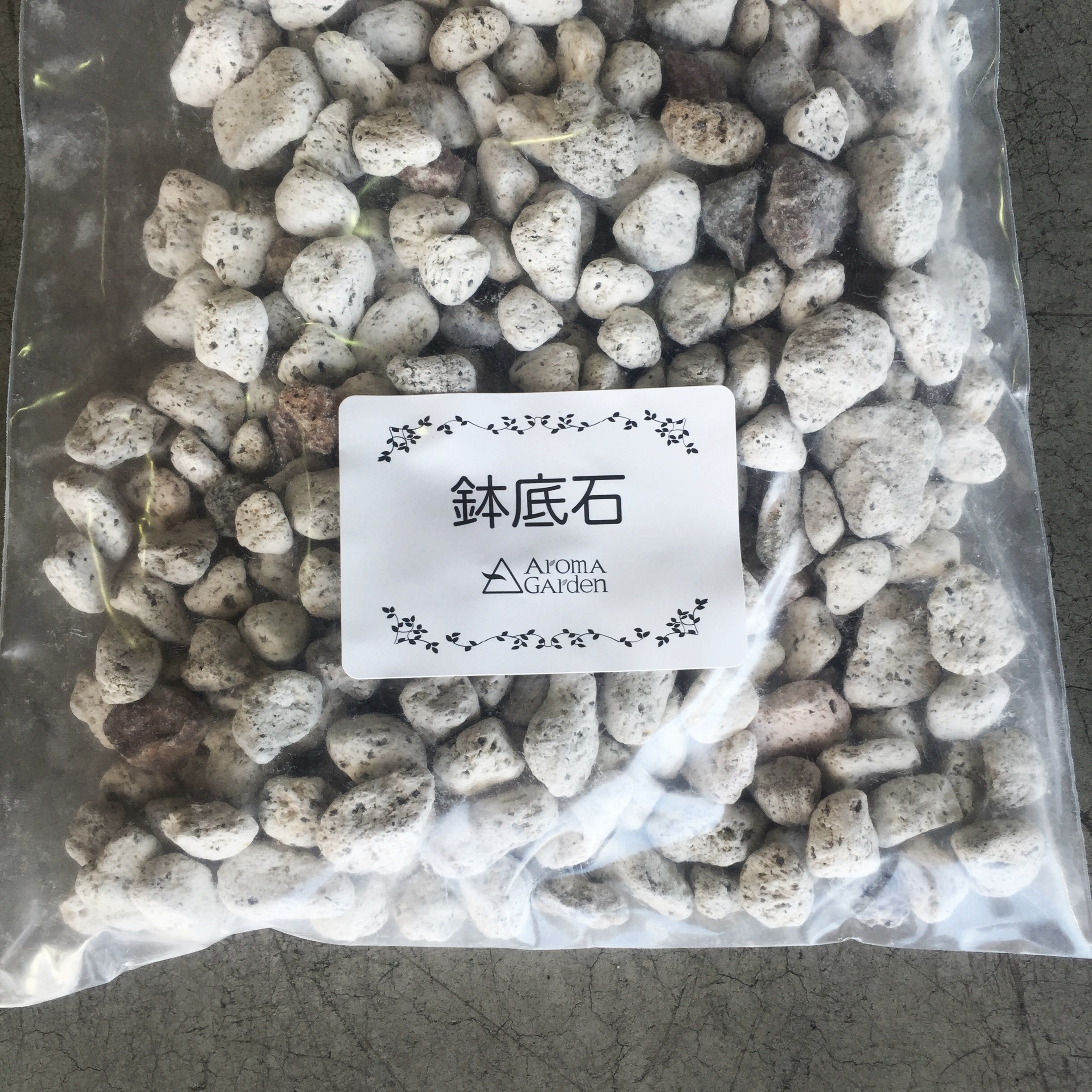 ウミノモリ軽石鉢 Amazon.co.jp: ウミノモリ様専用軽石鉢 : おもちゃ