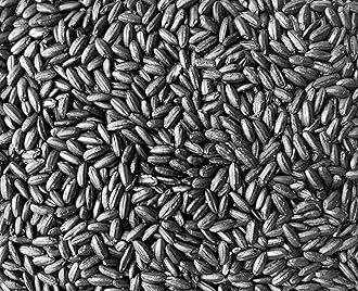 Emperor's Black Rice - Non-GMO, Whole Grain, Vegan - Rich in Protein and Fiber, All Natural (10 Pounds)