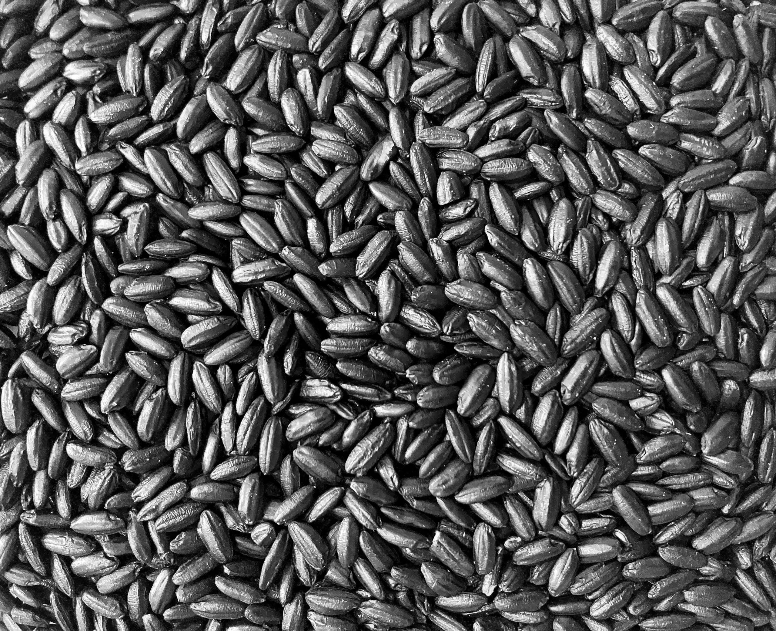 Emperor's Black Rice - Non-GMO, Whole Grain, Vegan - Rich in Protein and Fiber, All Natural (5 Pounds)