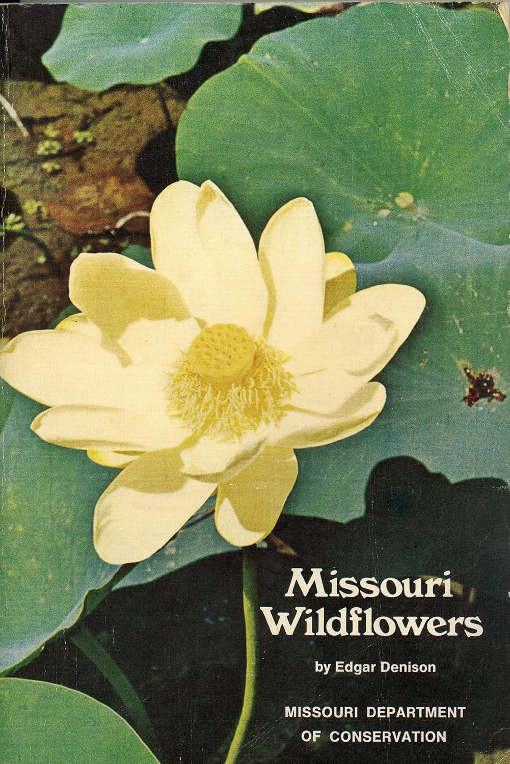 Missouri Wildflowers DENISON, EDGAR Books