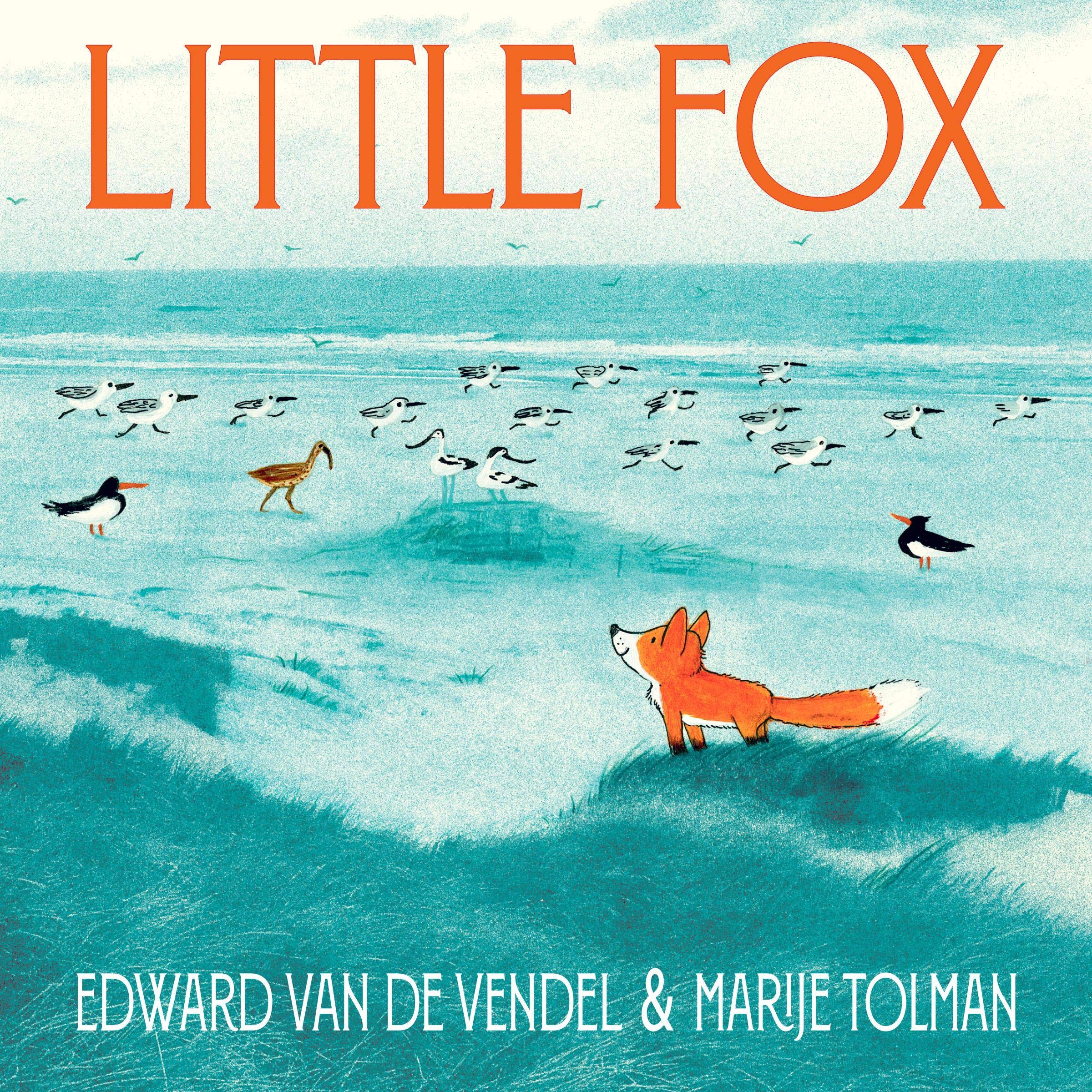 Little Fox