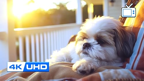 Puppy Sleep Music – Soothing Dog Lullabies for Calm & Relaxation Screensaver