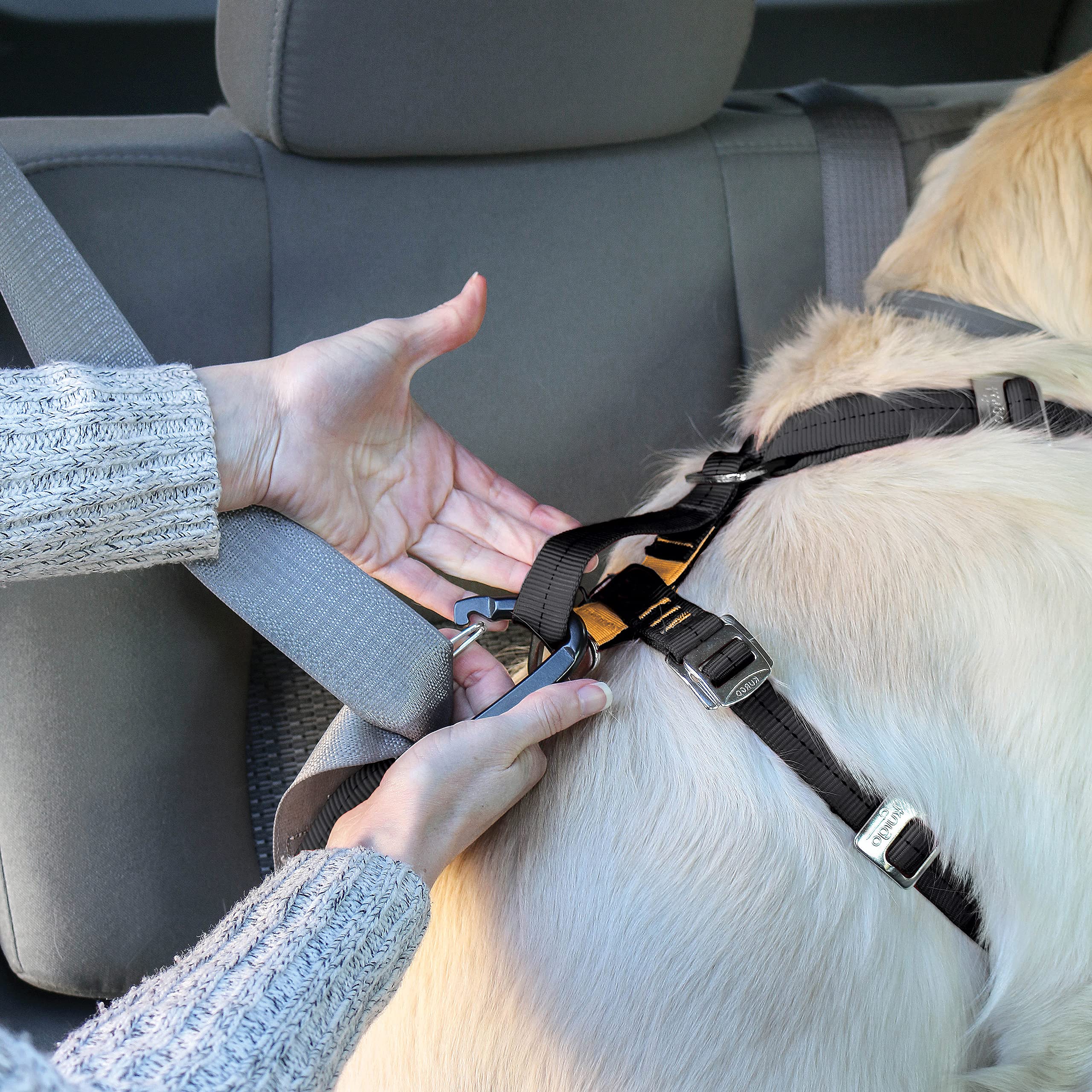 Kurgo Tru-Fit Arnés para Perro, Arnés de Paseo para Perros, Anillo en D para Entrenamiento sin Tirones, Incluye Mosquetón de Seguridad, Gris, S