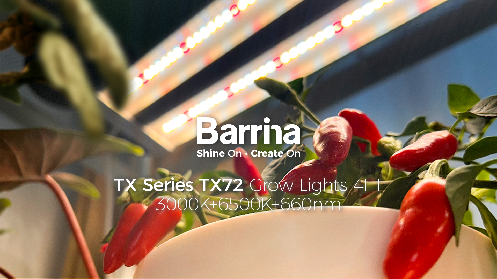 Image of Barrina TX72 4FT Grow Lights for Seed Starting, 72W(500W Equivalent), High PPFD, Full Spectrum with 660nm Red LEDs, Linkable, Hanging Grow Lights for Indoor Plants with On /Off Switch, Veg, 1 Pack