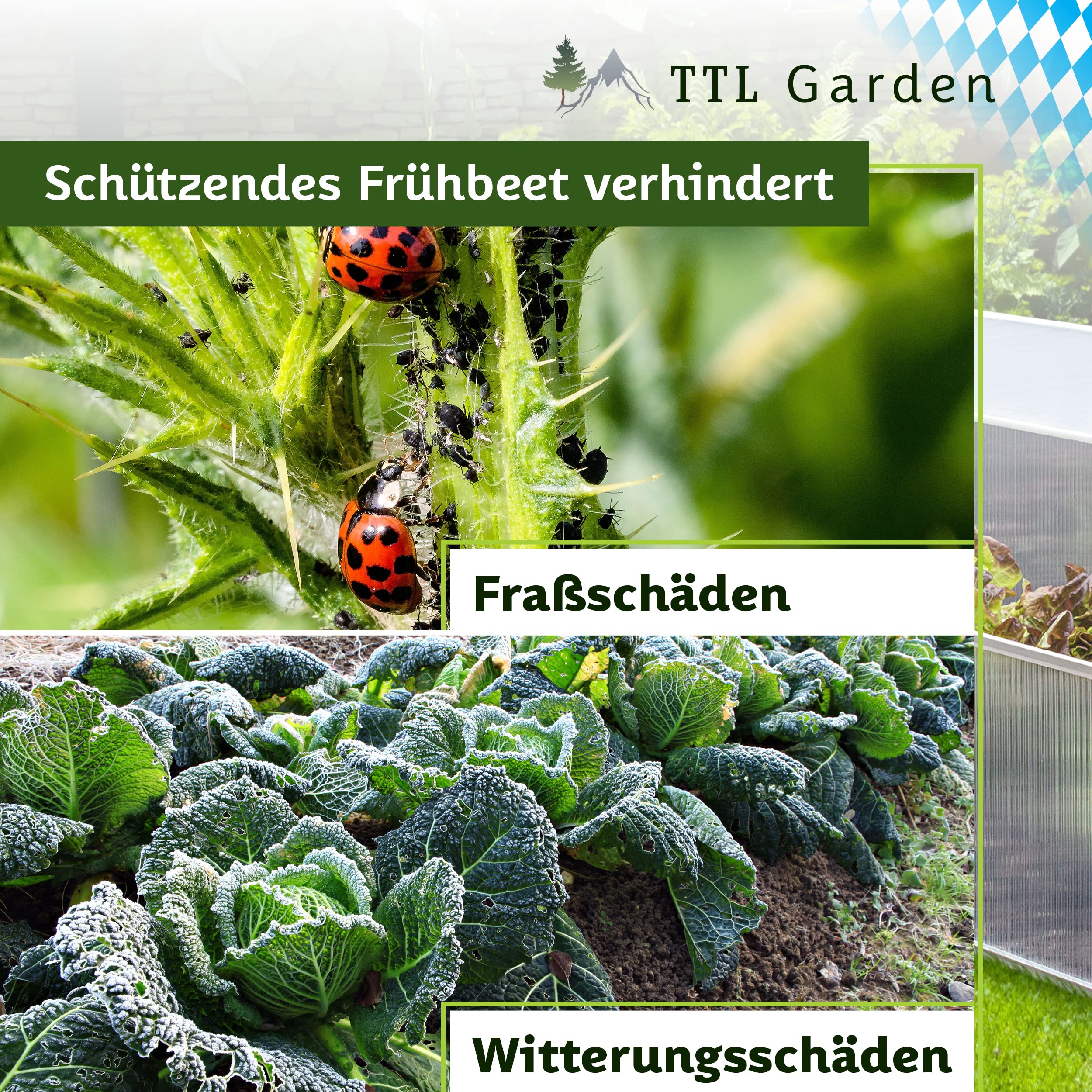 TTL GARDEN Frühbeet Aufsatz 100x60x40cm Alu & Polycarbonat - Hochbeet Kasten Mini Gewächshaus Frühbeetkasten 100 cm lang 60 cm breit, Wärme & Schutz für Pflanzen im Frühjahr, Deckel einstellbar